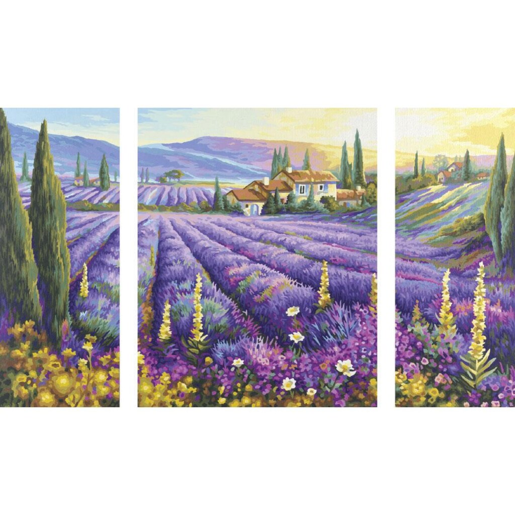 Schipper Malen nach Zahlen »Lavendel«