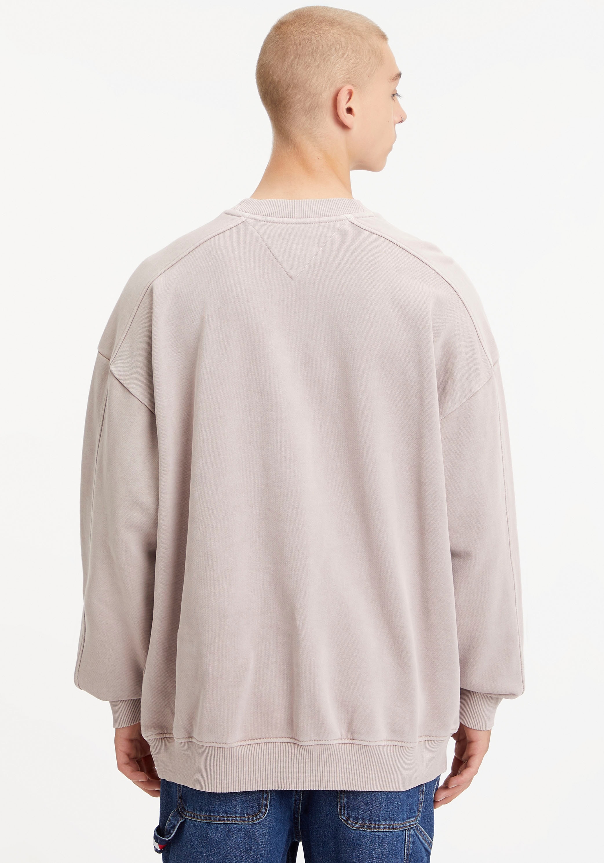Tommy Jeans Sweater »TJM SKATER TIMELESS TOMMY CREW«