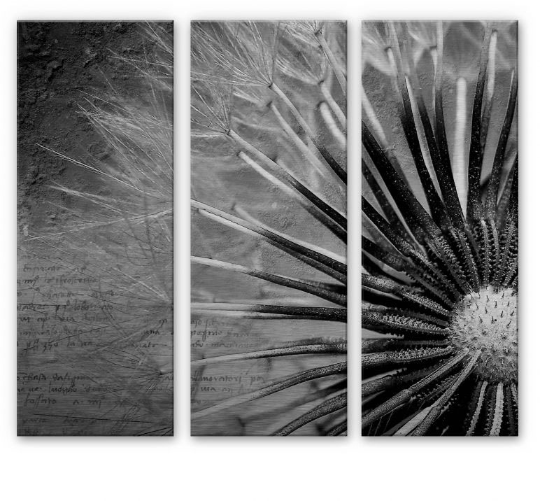 Image of Wall-Art Mehrteilige Bilder »Bild Pusteblumen Poesie«, (Set, 3 St.) bei Ackermann Versand Schweiz