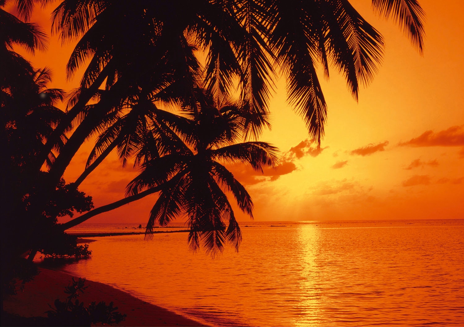 Image of Papermoon Fototapete "Tropic Sunset" glatt
