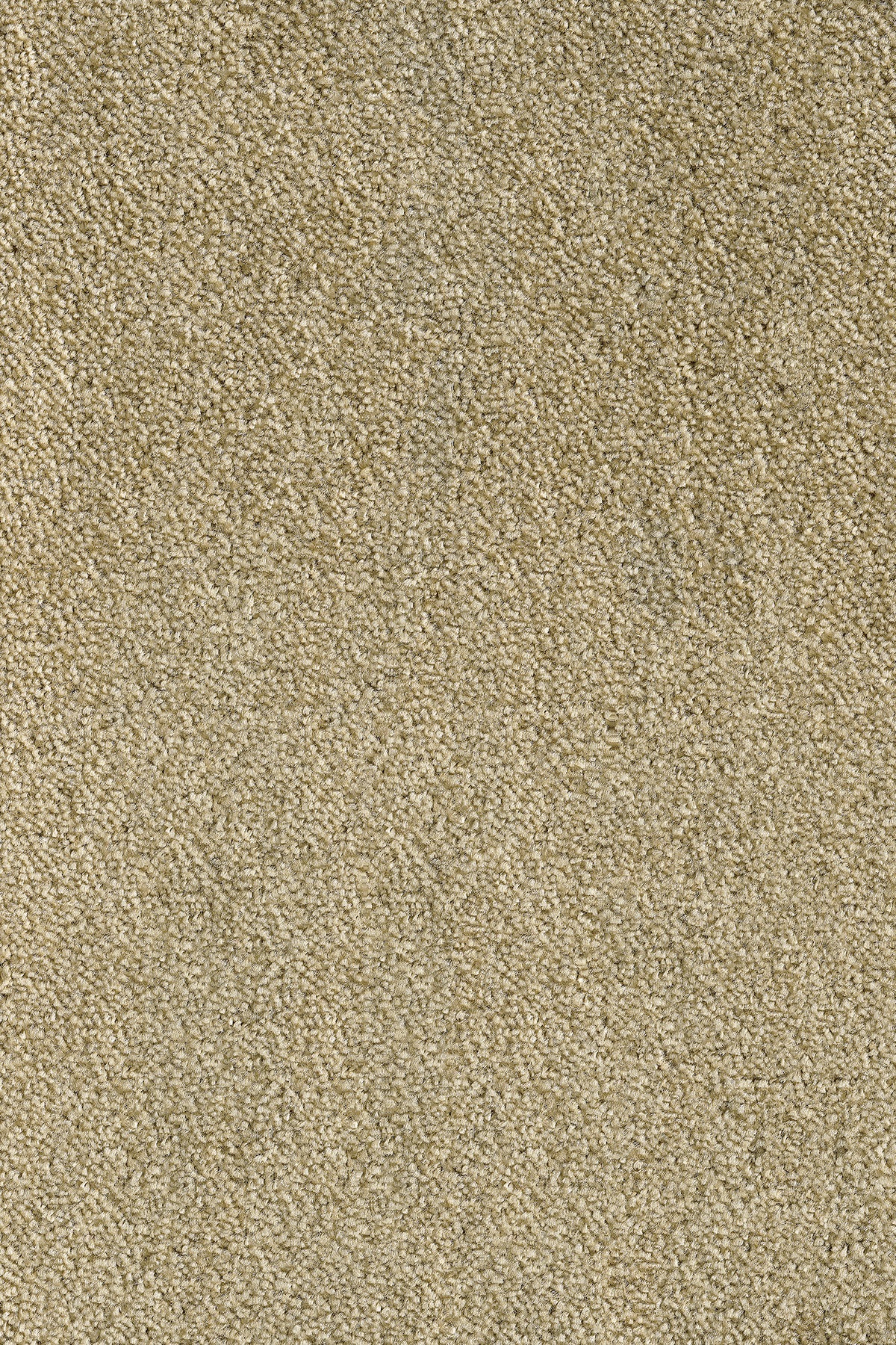 Image of Andiamo Teppichboden »Levin«, rechteckig, 10 mm Höhe, Meterware, Breite 400 cm, uni, schallschluckend, Wohnzimmer bei Ackermann Versand Schweiz