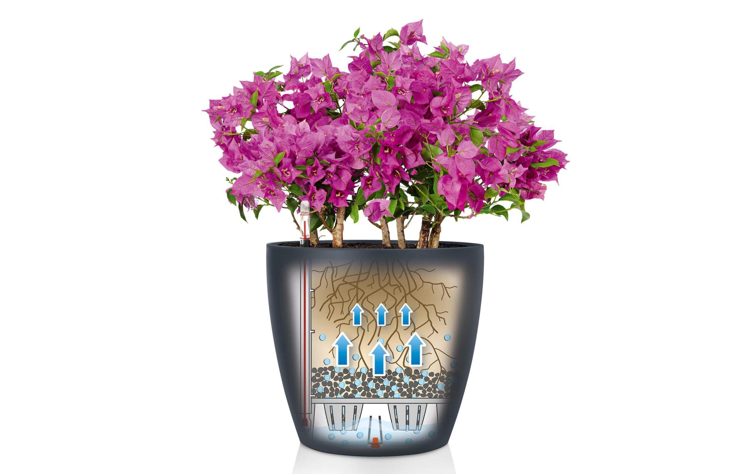 Blumentopf »Lechuza CLASSICO Color 18«