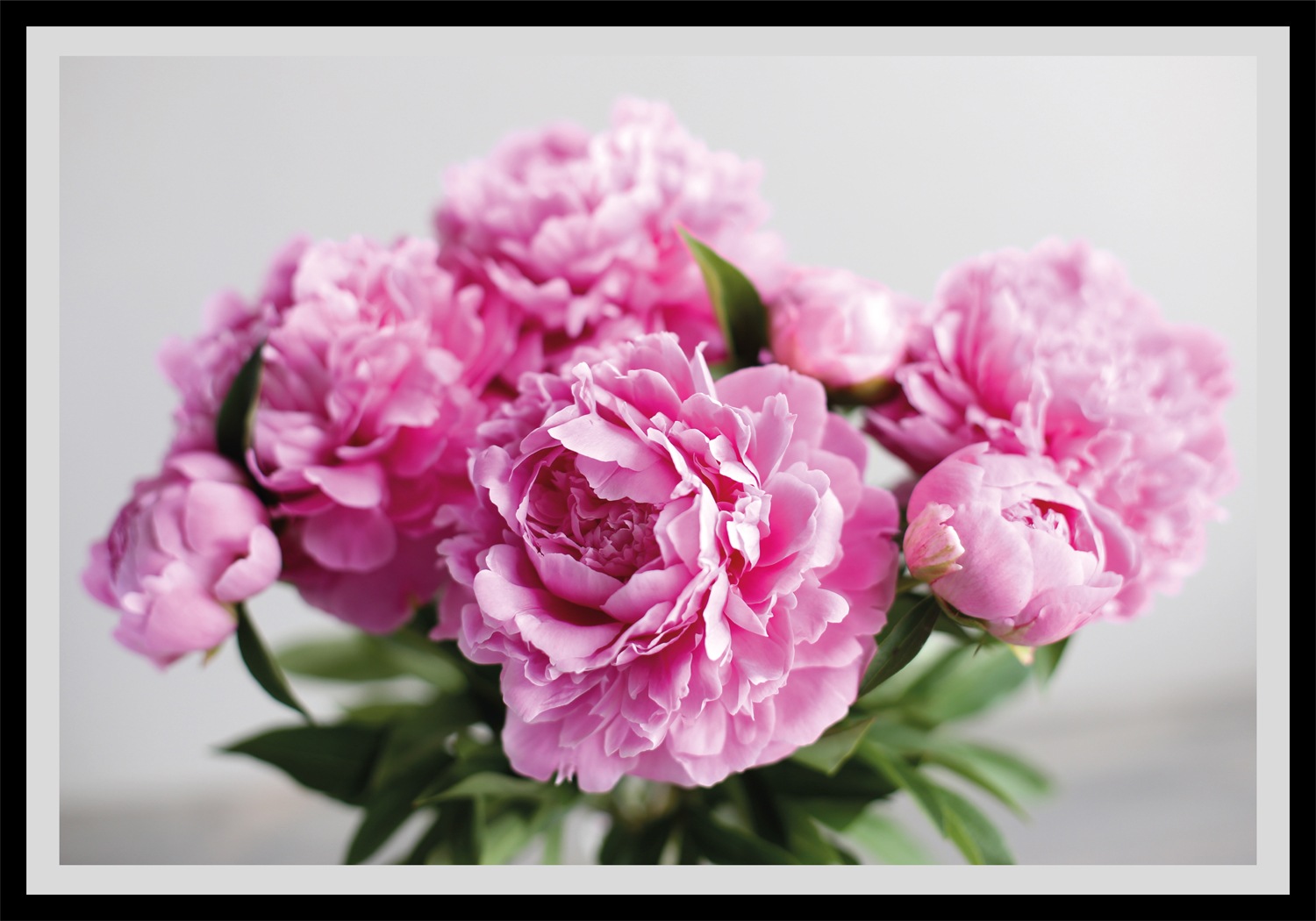 queence Image »Linn« Art | Feuilles | Fleurs | Images de fleurs | Photo encadré