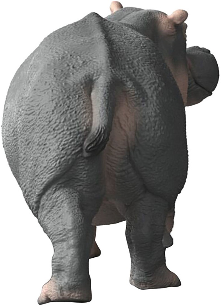 Schleich® Spielfigur »WILD LIFE, Flusspferd (14938)«