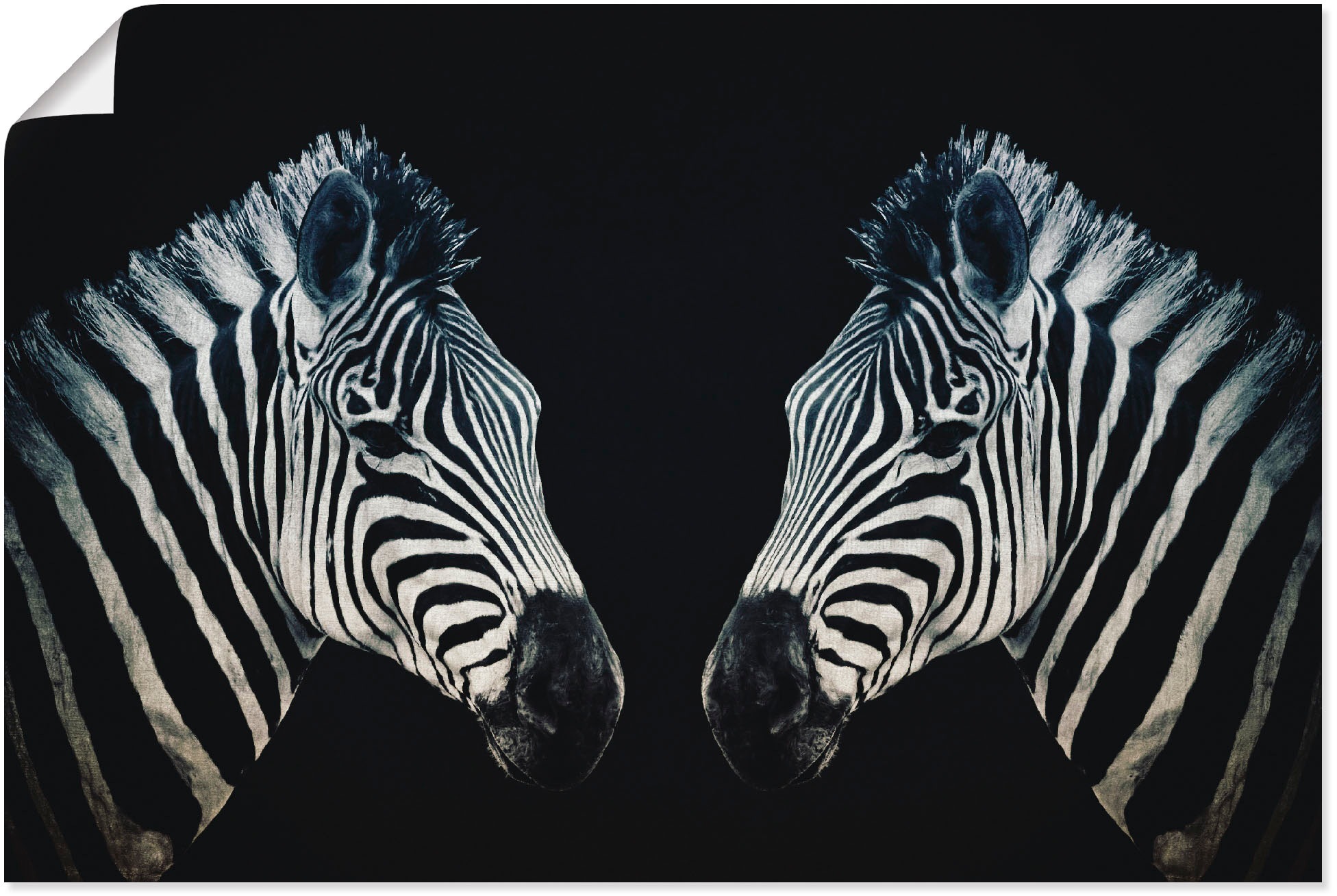 Image of Artland Wandbild »Zwillinge«, Wildtiere, (1 St.), in vielen Grössen & Produktarten - Alubild / Outdoorbild für den Aussenbereich, Leinwandbild, Poster, Wandaufkleber / Wandtattoo auch für Badezimmer geeignet bei Ackermann Versand Schweiz