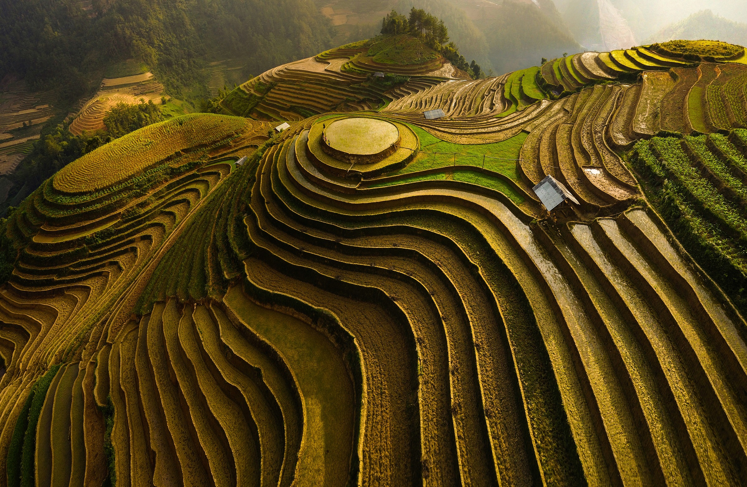 Image of Papermoon Fototapete »ĐAO TẤN PHAT, MU CANG CHAI - VIETNAM«, Vliestapete, hochwertiger Digitaldruck, inklusive Kleister bei Ackermann Versand Schweiz