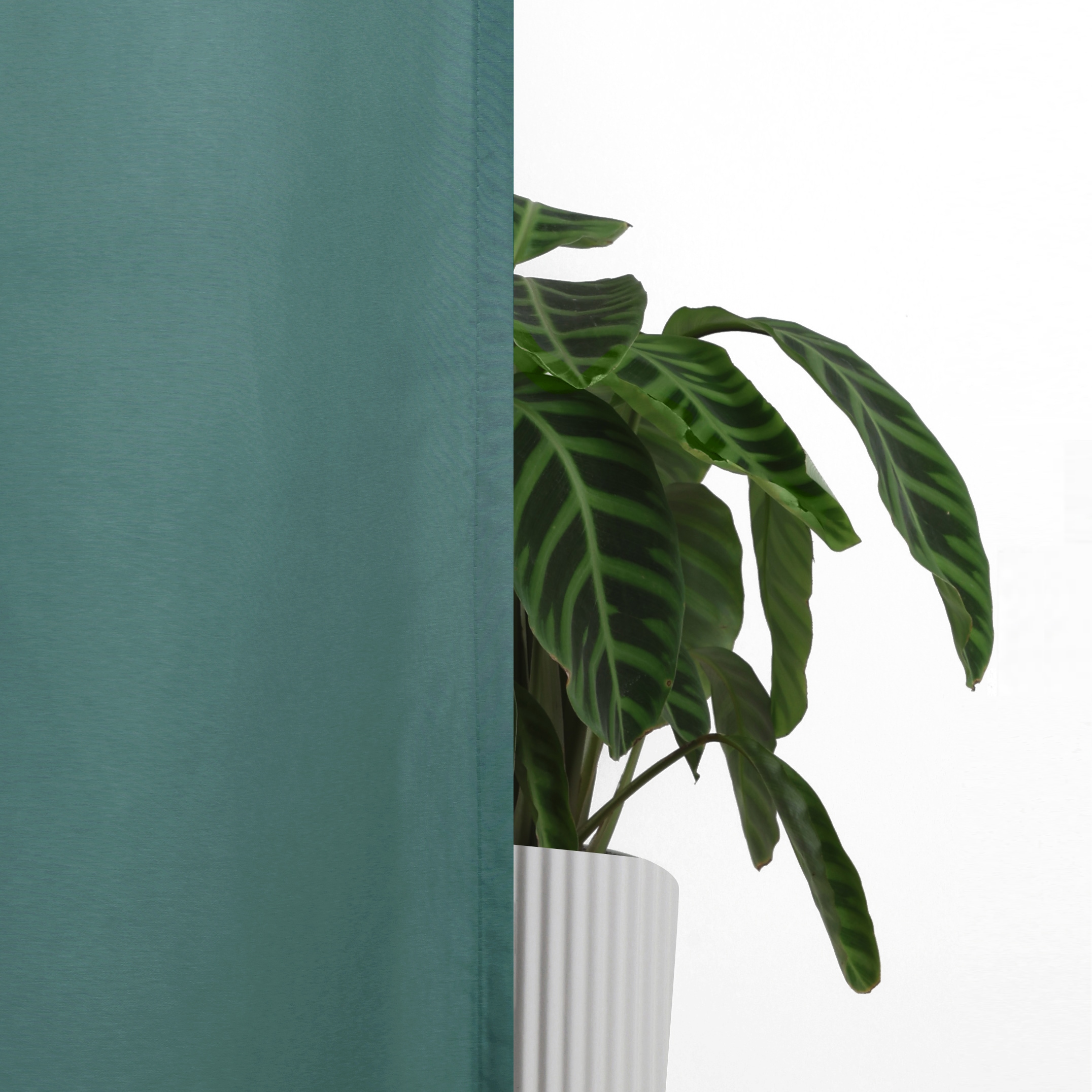 Bruno Banani Vorhang »Lagan« Kräuselband 2 Stk. tlg. 2-er Set, gewebt, Microfaser, versch. Grössen, einfarbig, Bestseller