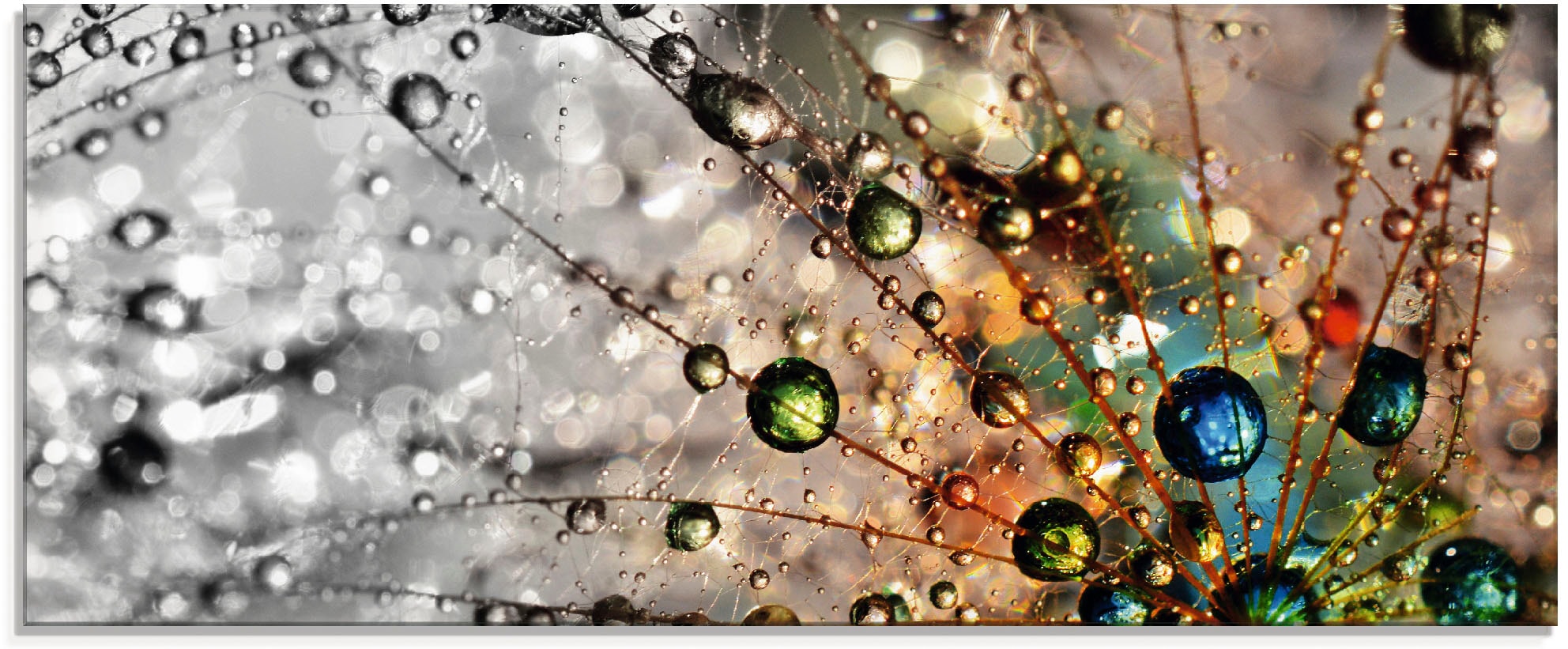 Artland Glasbild »Farbenfrohe Natur«, Blumen, (1 St.), in verschiedenen Grössen