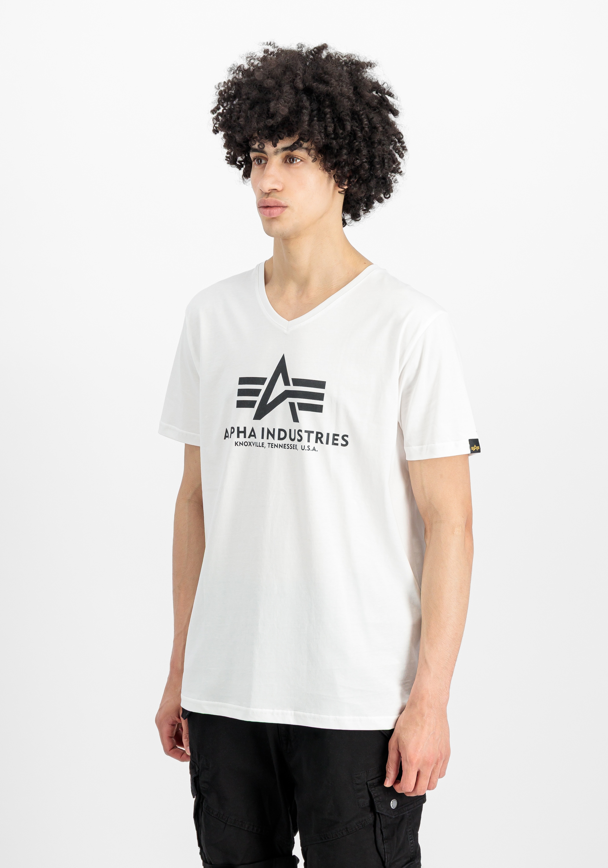 Alpha Industries T-Shirt »Alpha Industries Men - T-Shirts Basic T-Shirt BL V-Neck«