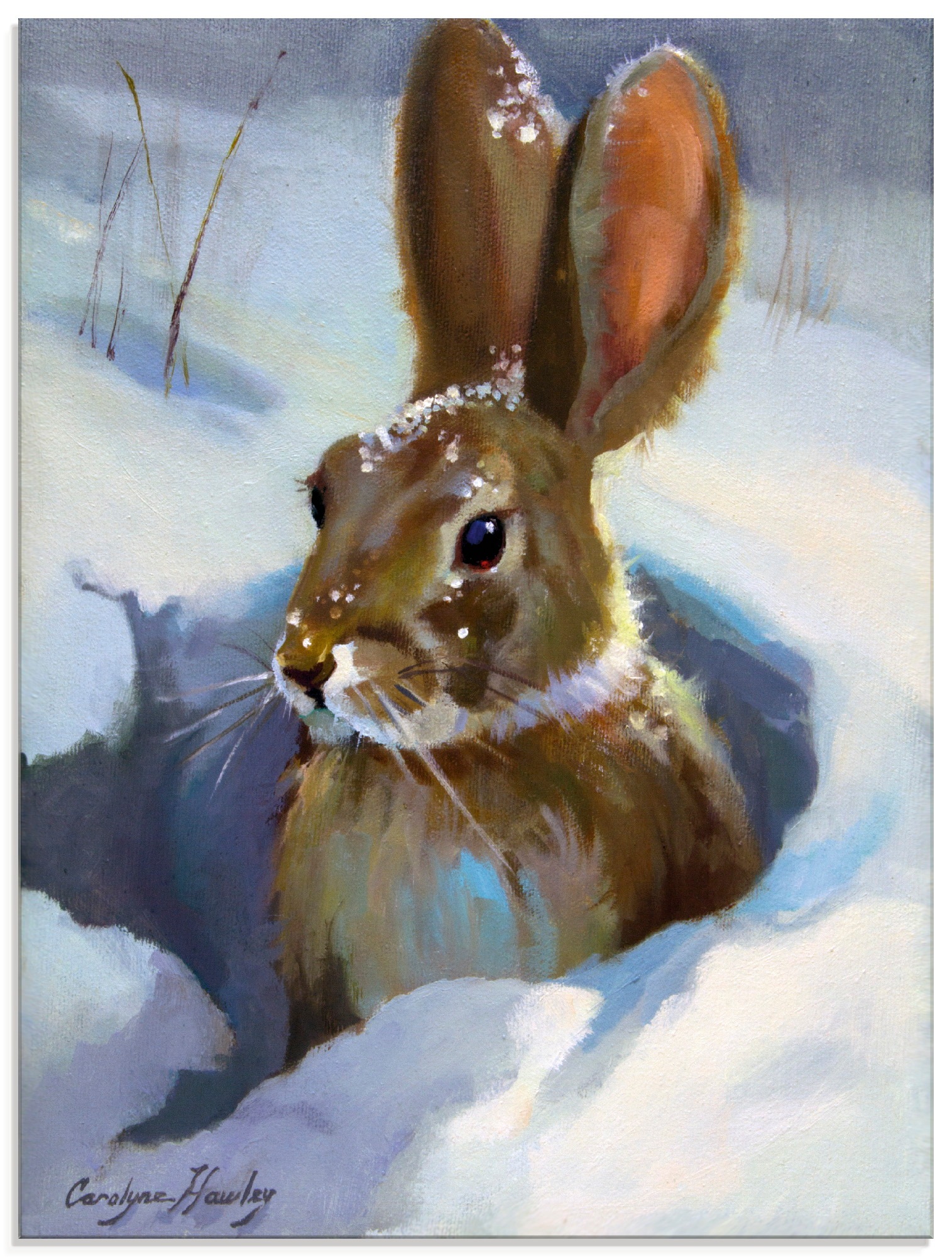 Image of Artland Glasbild »Schneehase«, Wildtiere, (1 St.) bei Ackermann Versand Schweiz