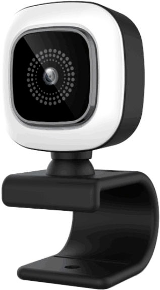 Hyrican Webcam »HYRICAN ST-CAM554 UHD Webcam 3840x2160 Pixel mit Ringlicht 12MP« 4K Ultra HD
