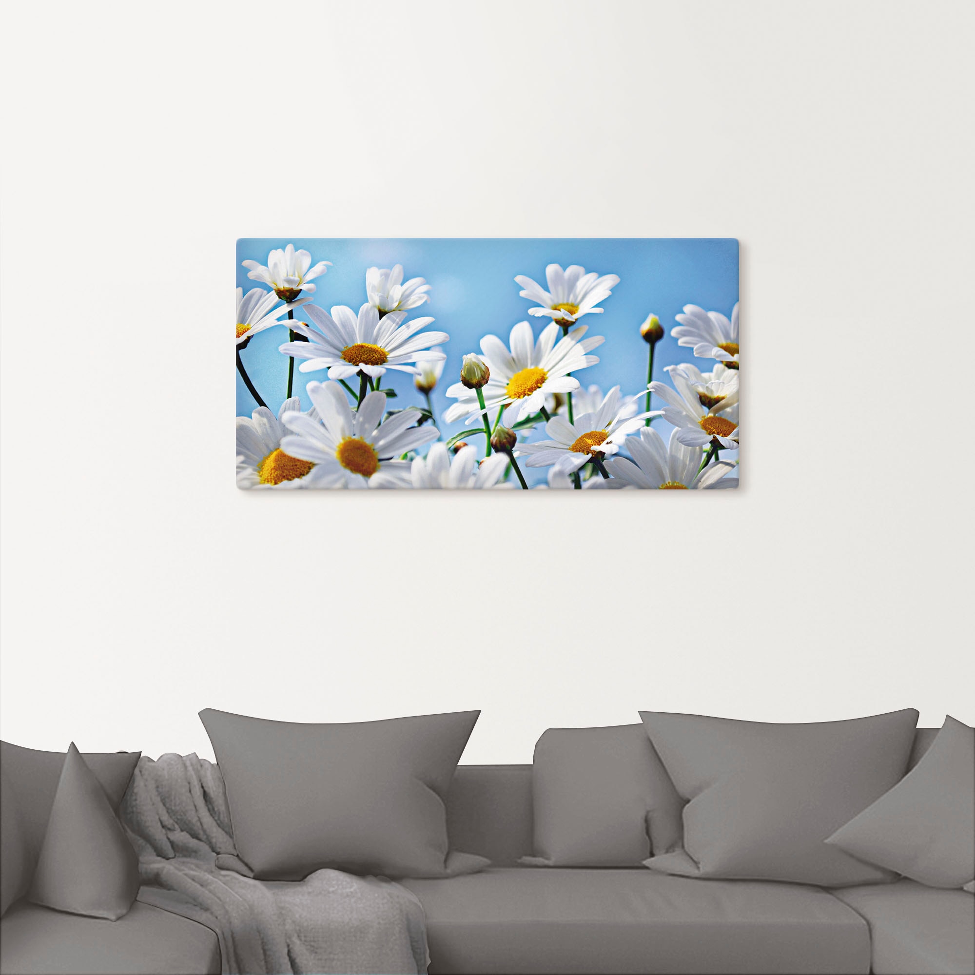 Artland Wandbild »Blumen - St.), Wandaufkleber günstig Leinwandbild, versch. in Grössen kaufen Alubild, (1 oder Blumen, Margeriten«, als Poster