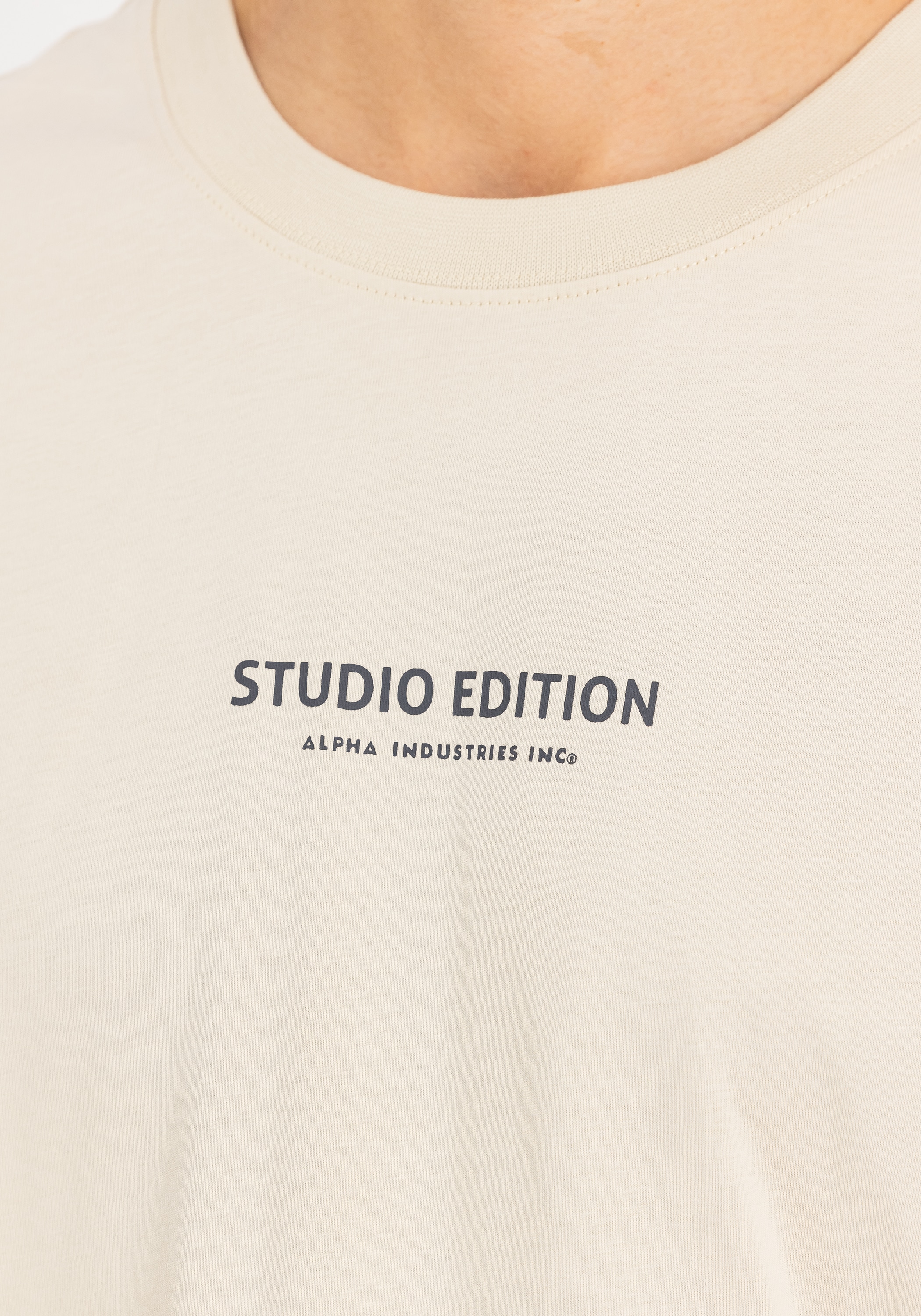 Alpha Industries T-Shirt »Studio Edition Backprint T-Shirt«