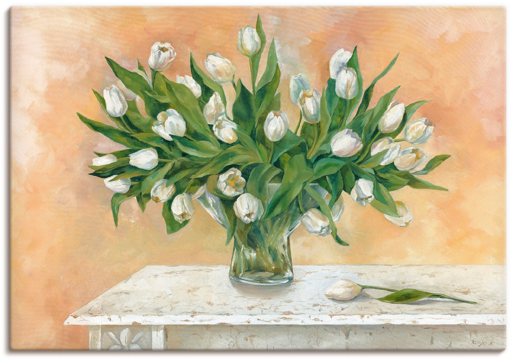 Image of Artland Leinwandbild "Weisse Tulpen II" Blumen 1 Stk. tlg. auf Holzrahmen gespannt