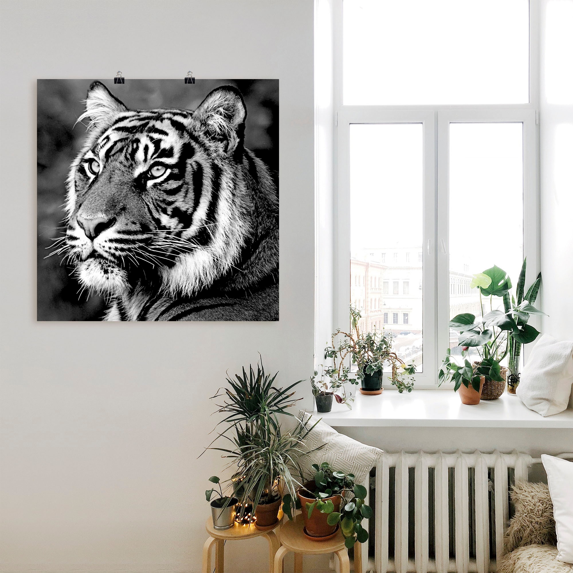 Artland Wandbild »Tiger«, Wildtiere, (1 St.), als Leinwandbild, Poster, Wandaufkleber in verschied. Grössen