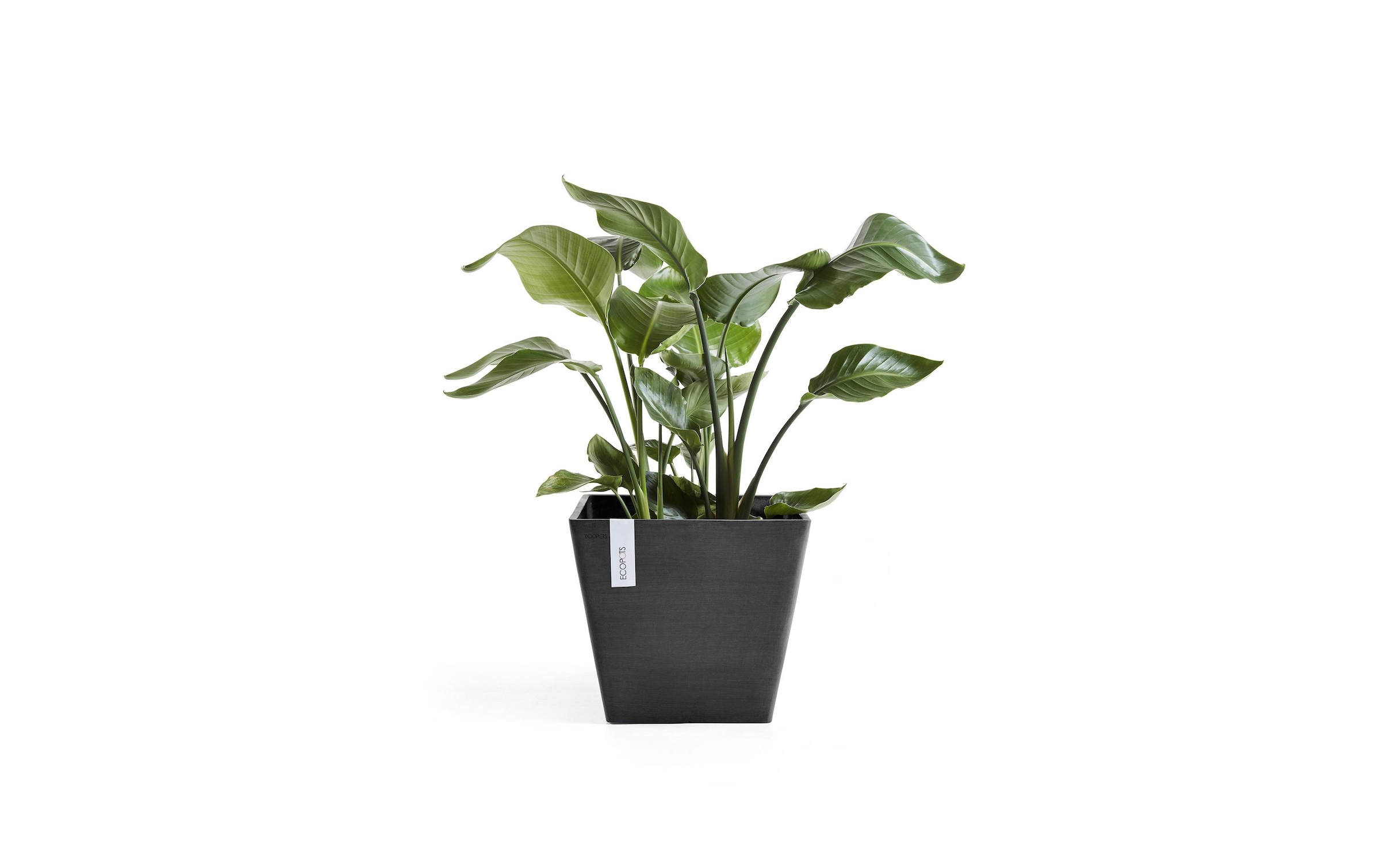 ECOPOTS Blumentopf »Rotterdam 40 D«