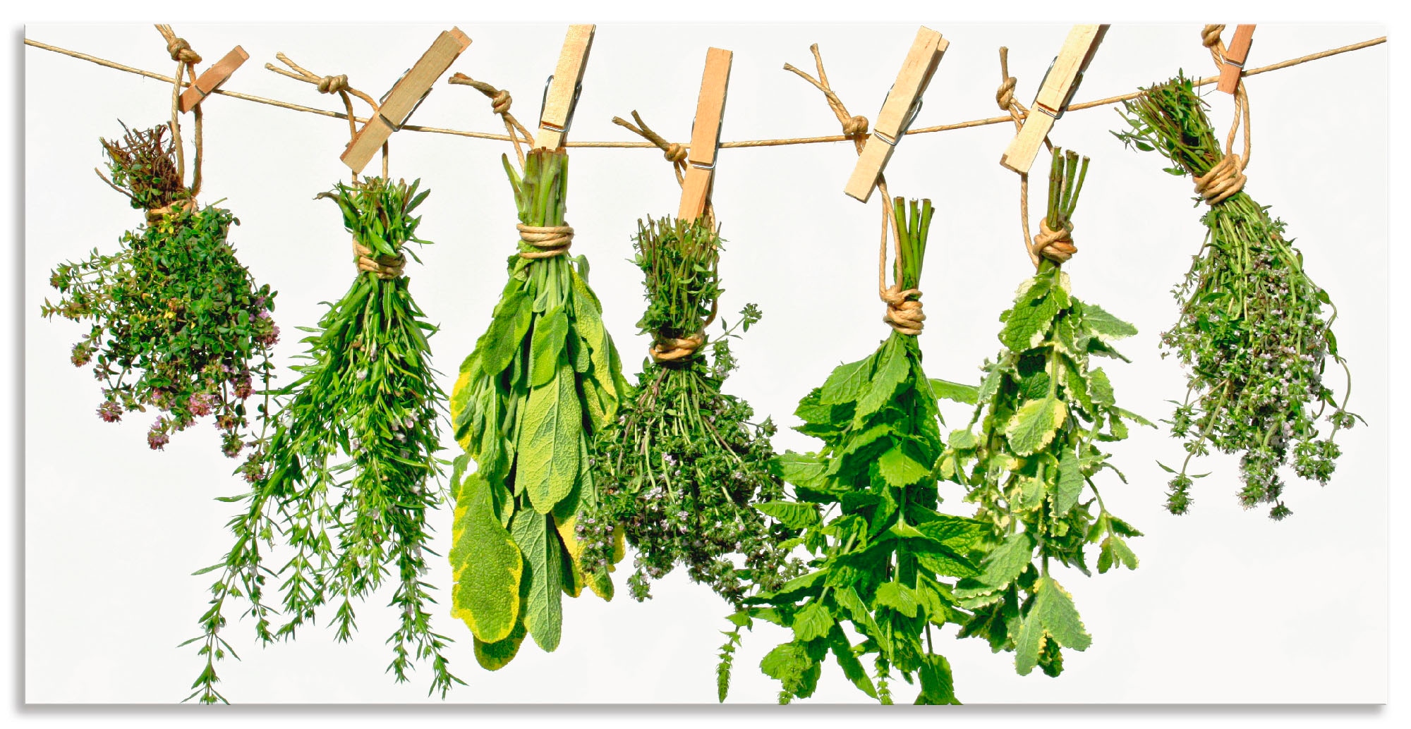 Artland Wandbild »Kräuter« Pflanzen 1 Stk. tlg. als Alubild, Leinwandbild in verschied. Grössen
