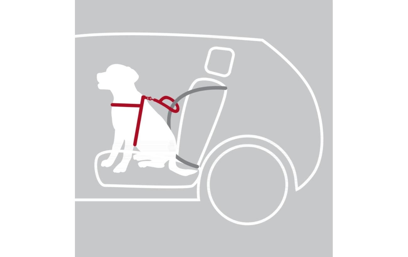 TRIXIE Hunde-Geschirr »Auto-Geschirr Dog Protect«, Nylon