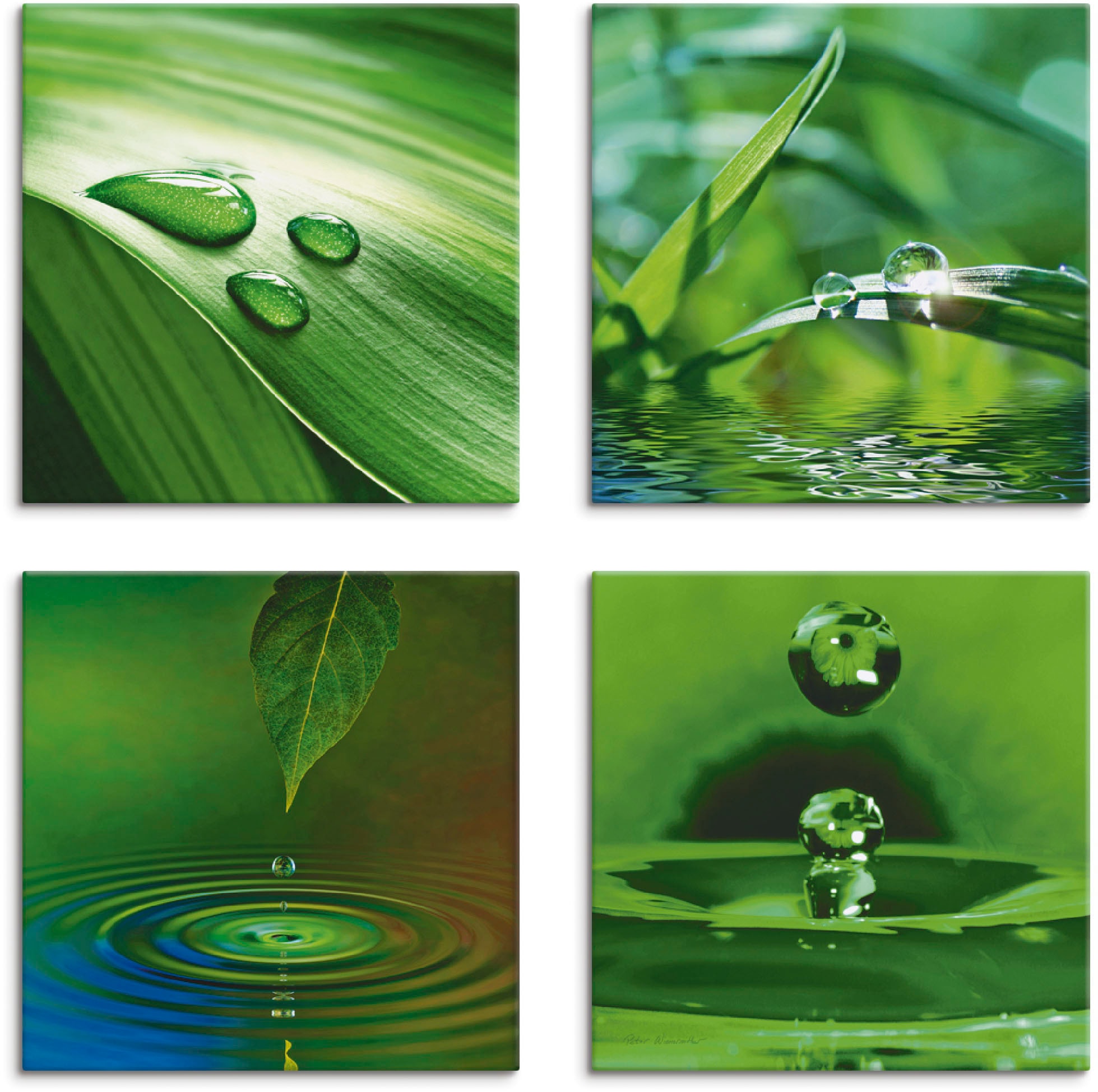 Image of Artland Leinwandbild "Blatt Gras Wassertropfen" Zen 4 Stk. tlg. 4er Set, verschiedene Grössen