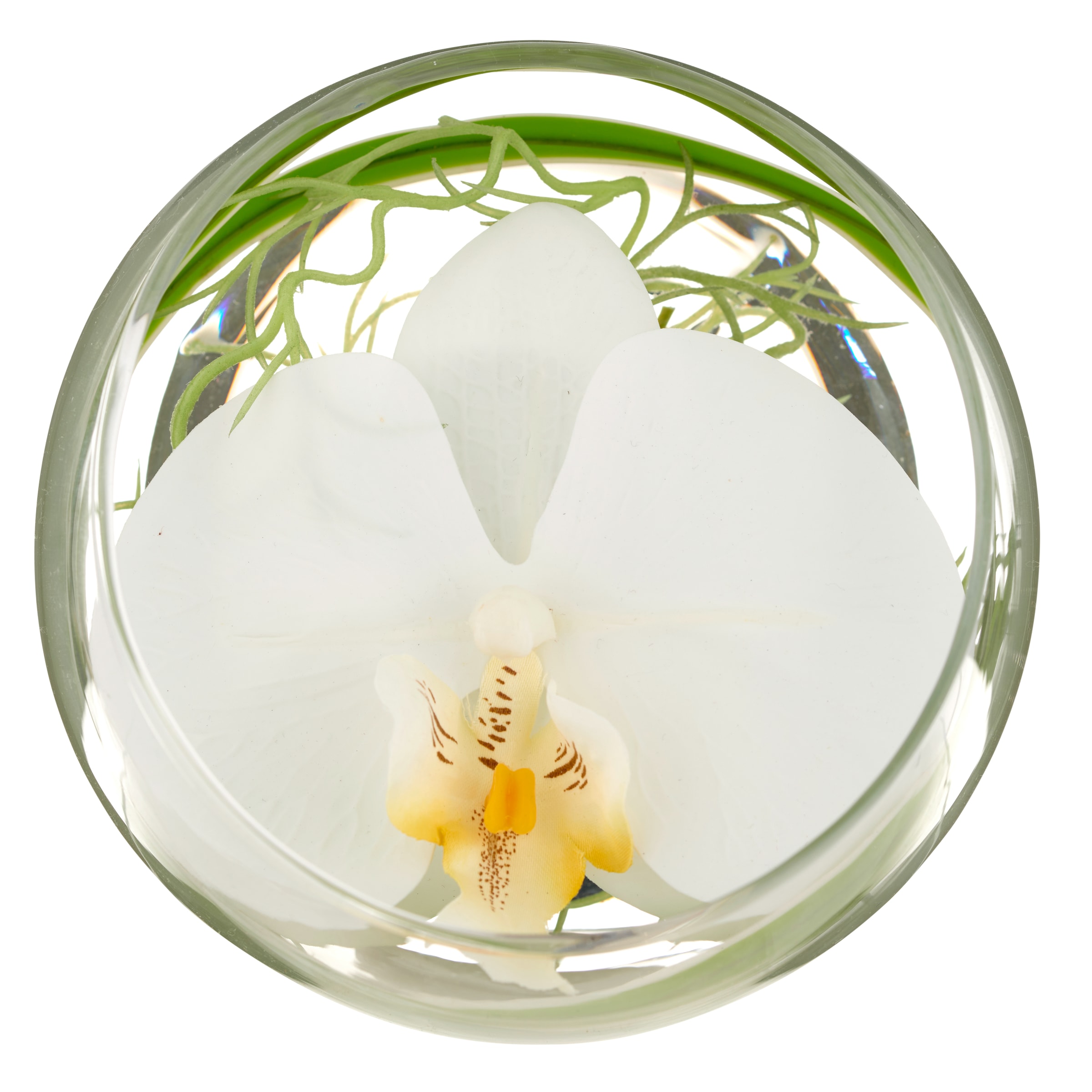 Creativ green Kunstblume »Glasgefäss mit Orchideenblüte«, als elegantes Arrangement