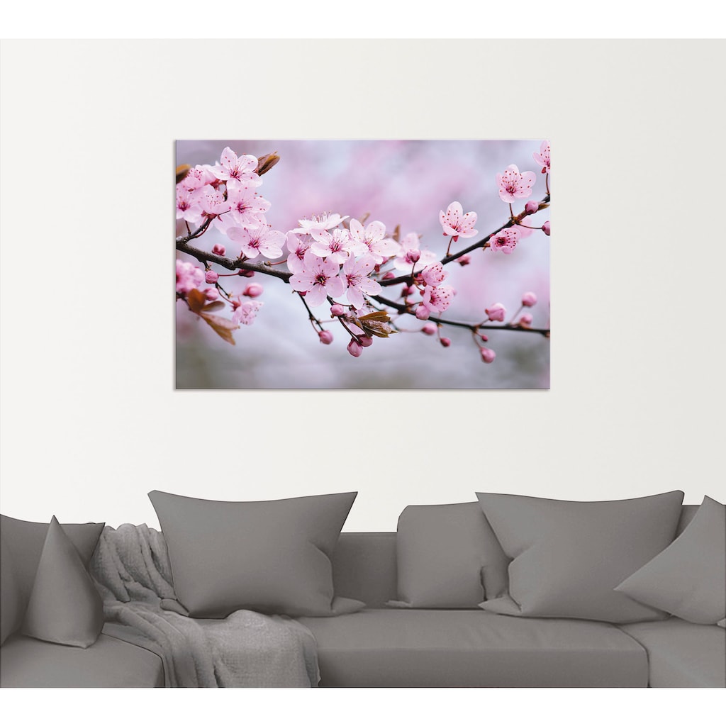 Artland Wandbild »Kirschblüten«, Blumen, (1 St.), als Alubild, Outdoorbild, Leinwandbild, Poster, Wandaufkleber