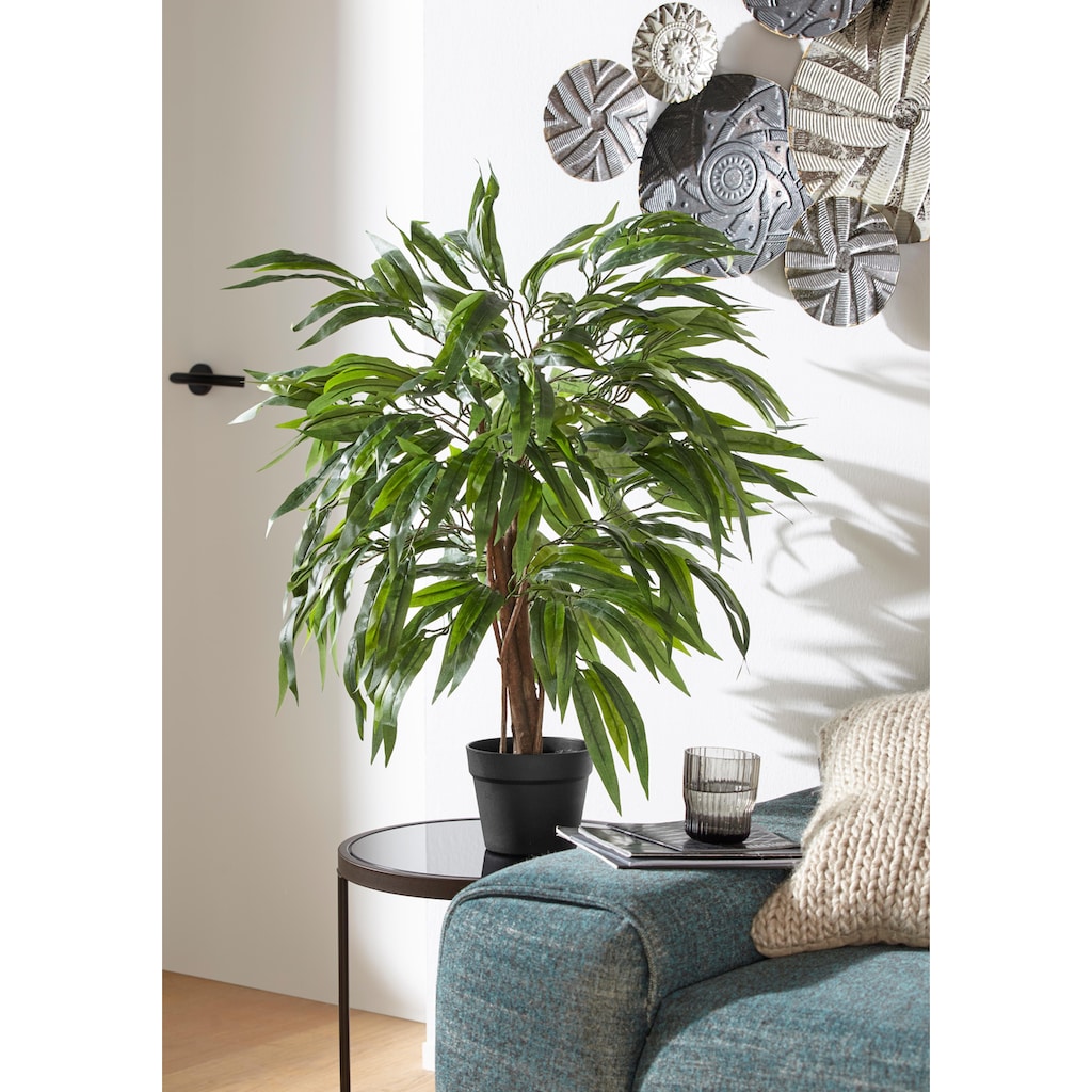 Creativ green Kunstpflanze »Weeping-Ficus«