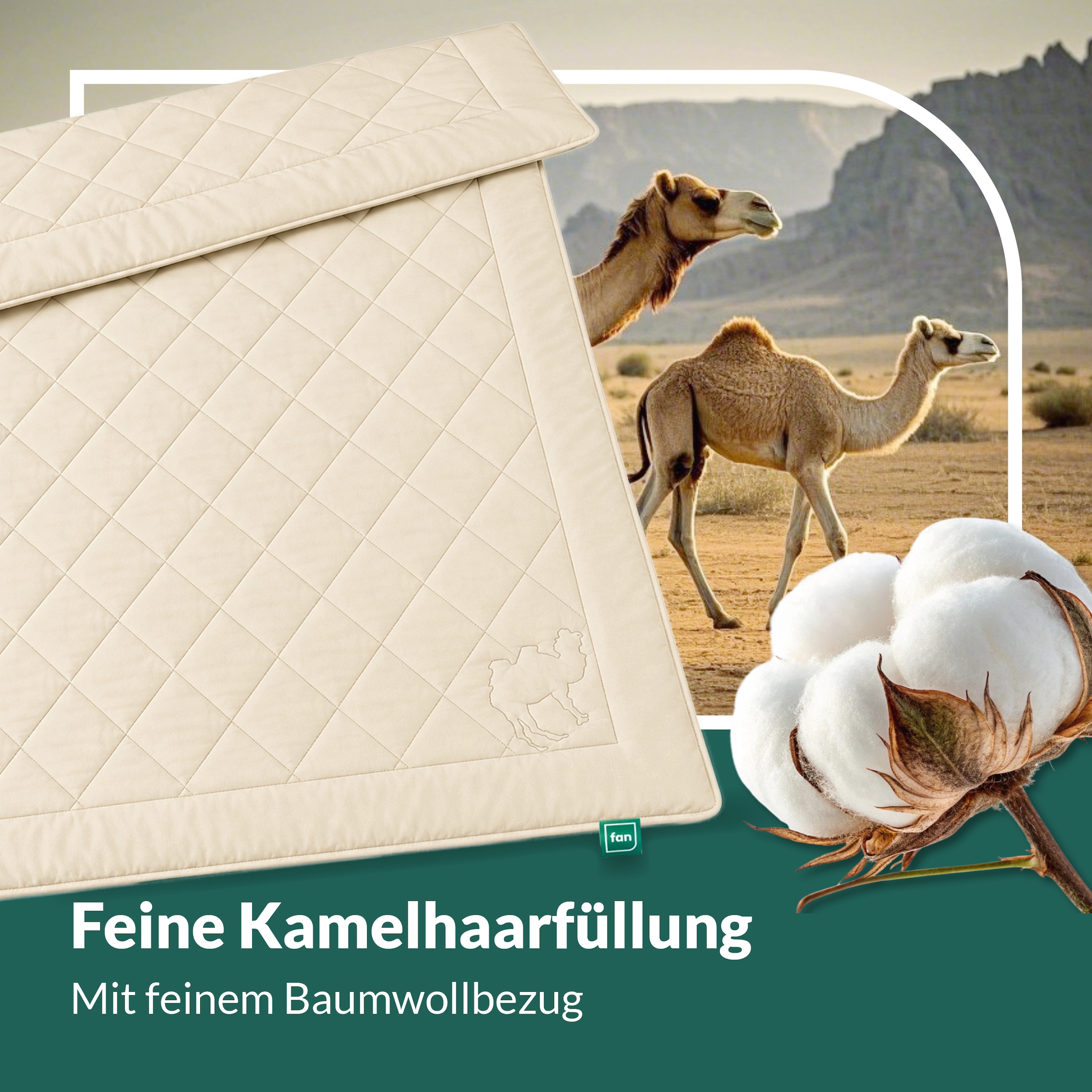 fan Couette en poils naturels »Gobi, Bettdecken für Sommer und Winter, temperaturausgleichend« léger Füllung poil de chameau Bezug Coton 1 cuis tlg. Garnissage en poil de chameau climatisant - Fabriqué en Allemagne