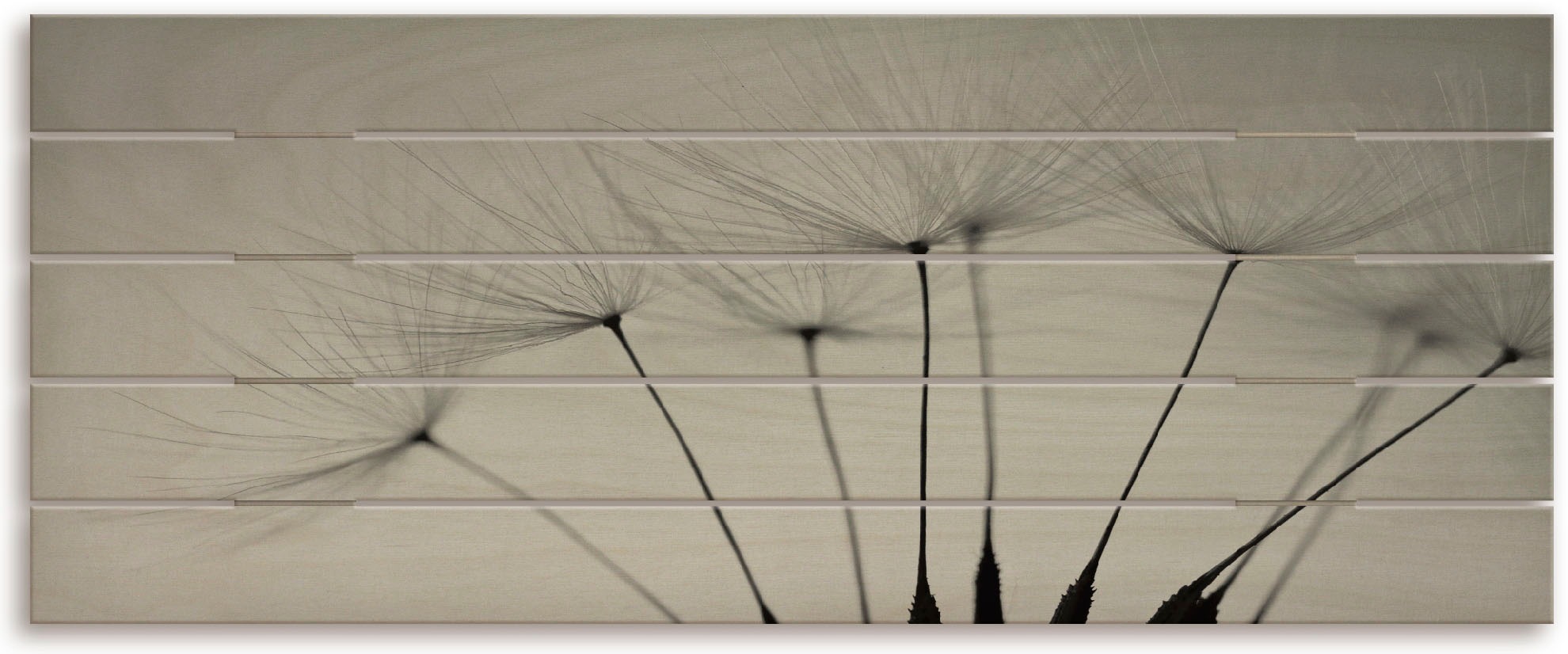 Image of Artland Holzbild »Pusteblumen-Samen I«, Blumenbilder, (1 St.) bei Ackermann Versand Schweiz