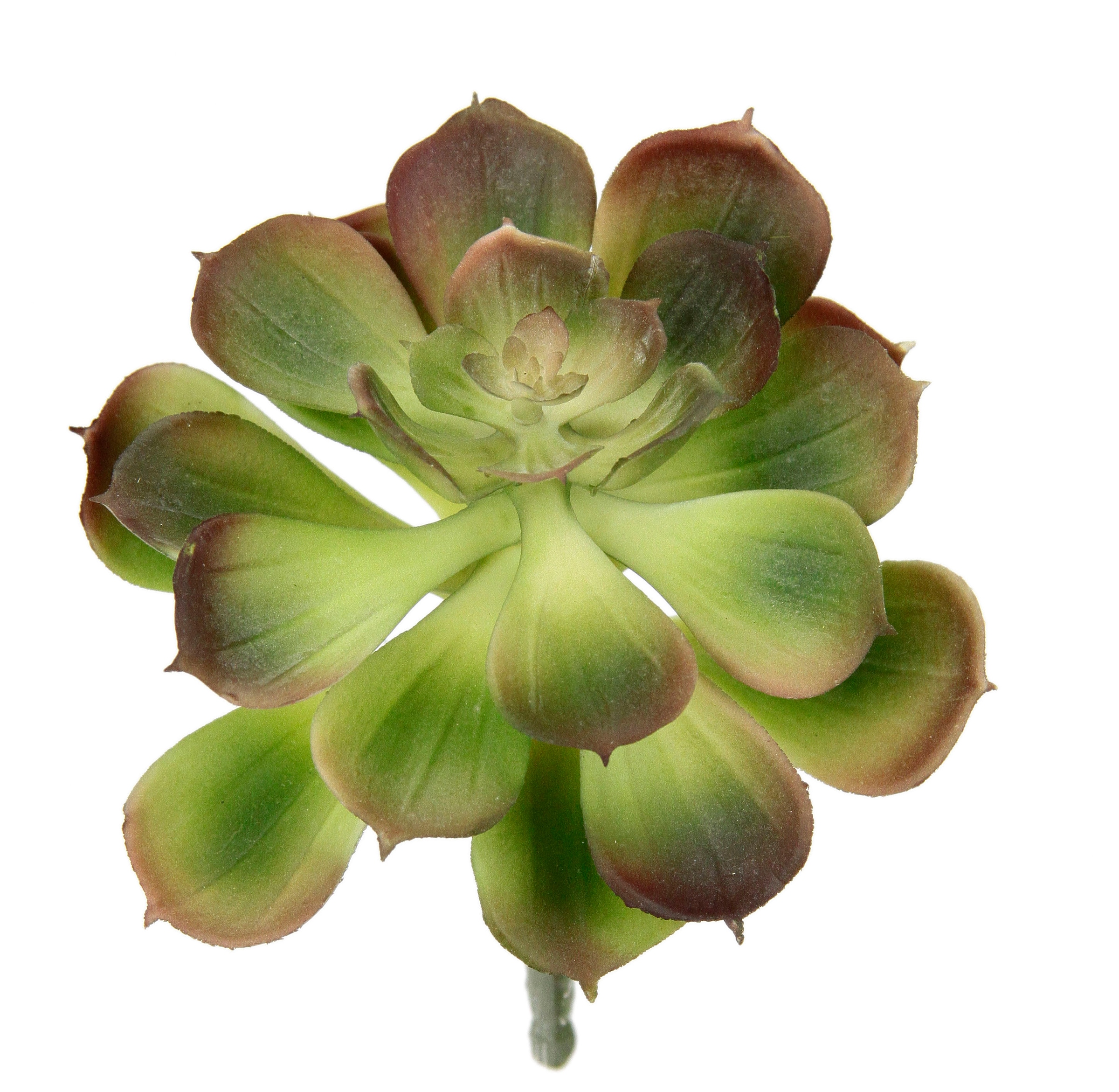 I.GE.A. Kunstpflanze »Dekorative Sukkulenten«, 4er Set, künstliche Pflanzen, Sukkulenten, Aloe, Agave, Kaktus