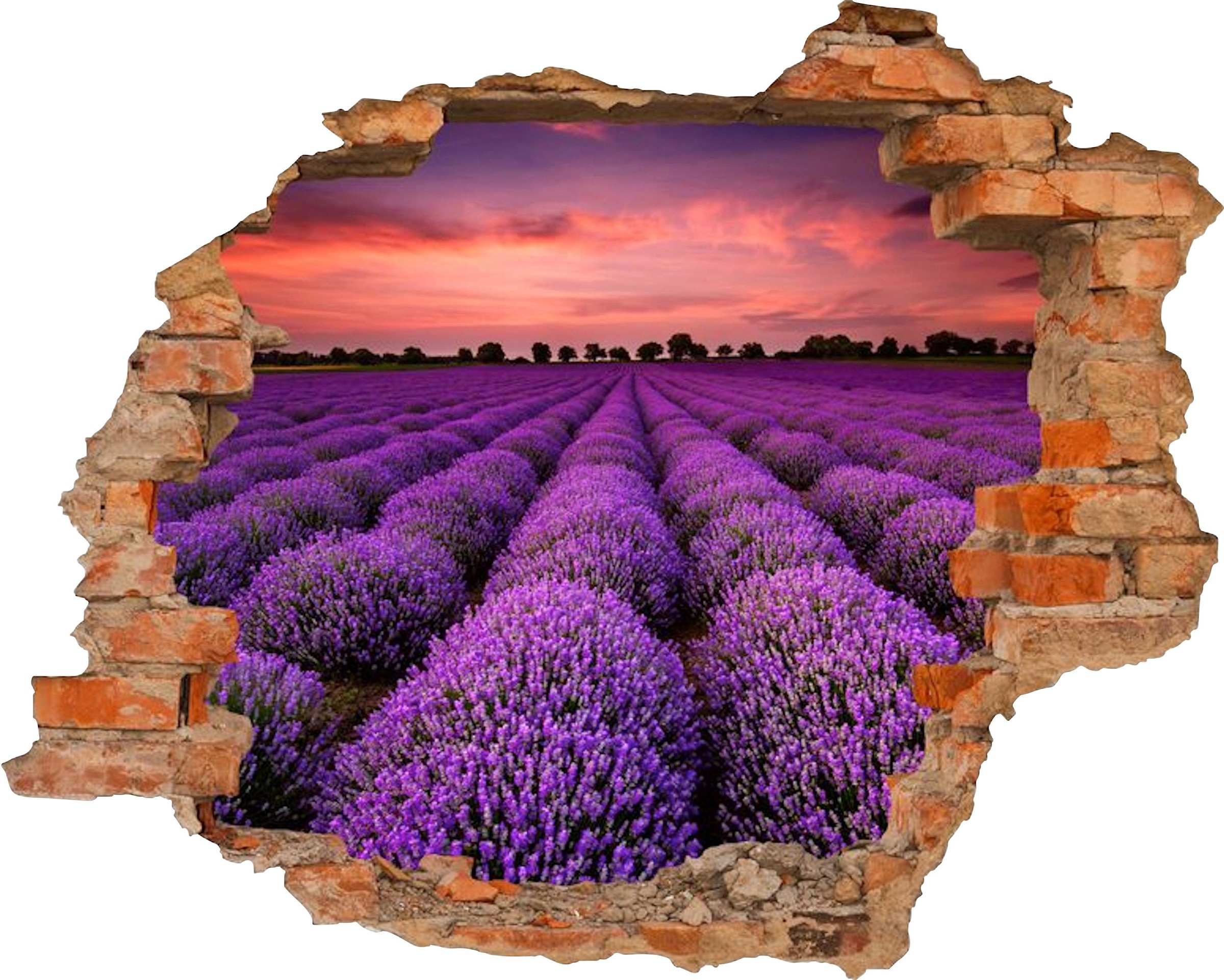 Image of Conni Oberkircher´s Wandsticker »Lavander - Lavendel«, selbstklebend, Blumenfeld bei Ackermann Versand Schweiz
