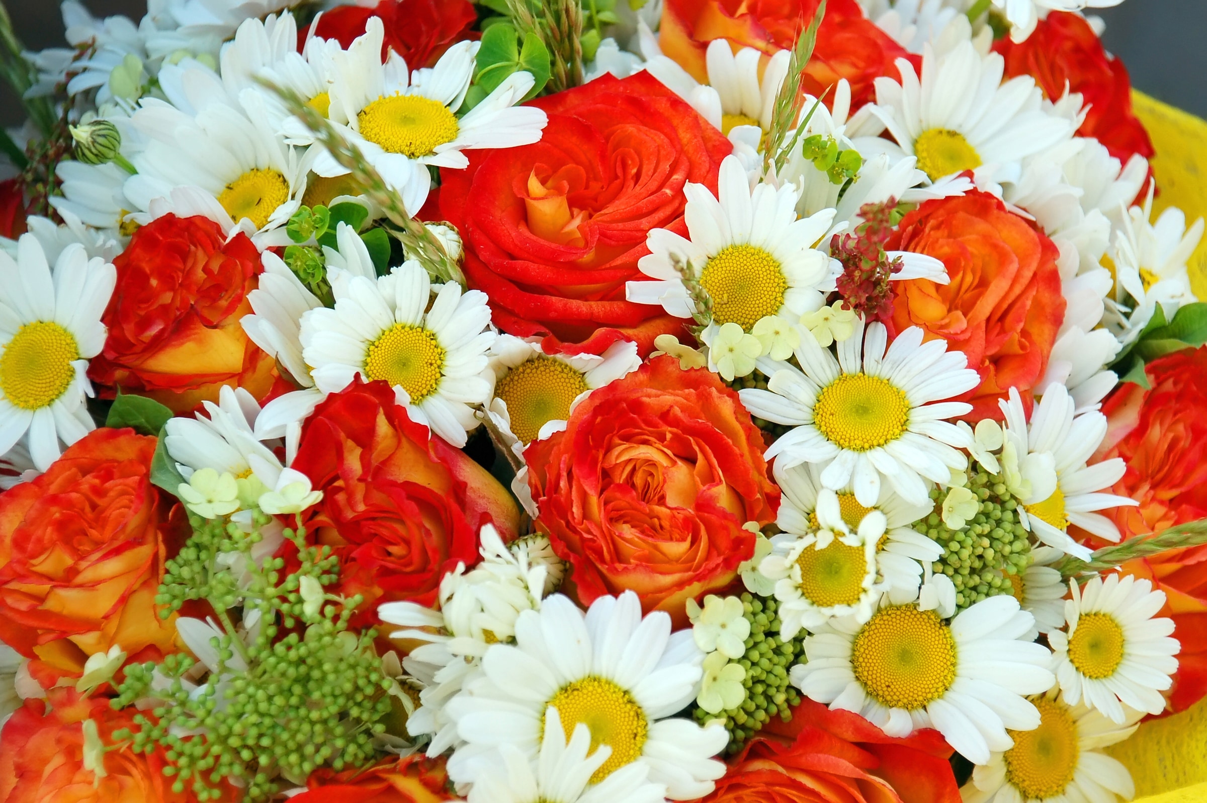 Image of Papermoon Fototapete »BLUMEN-STRAUss-ROSEN GÄNSEBLÜMCHEN PFLANZEN ORCHIDEEN«, Vliestapete, hochwertiger Digitaldruck, inklusive Kleister bei Ackermann Versand Schweiz