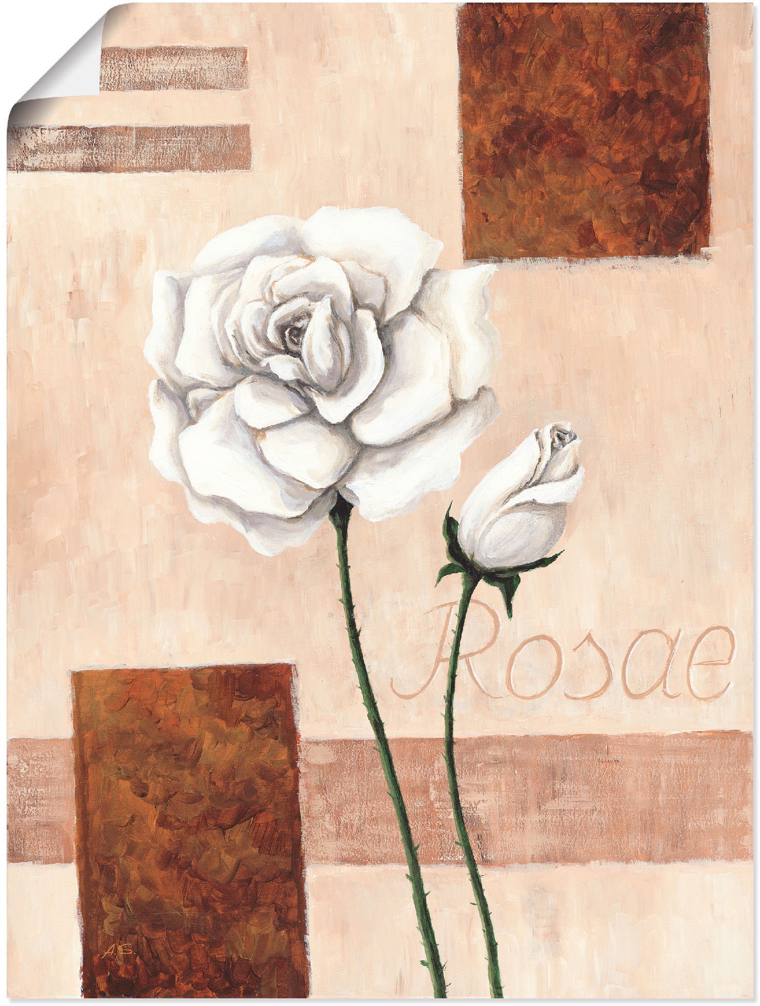 Image of Artland Wandbild »Rosae - Rosen«, Blumenbilder, (1 St.), in vielen Grössen & Produktarten - Alubild / Outdoorbild für den Aussenbereich, Leinwandbild, Poster, Wandaufkleber / Wandtattoo auch für Badezimmer geeignet bei Ackermann Versand Schweiz