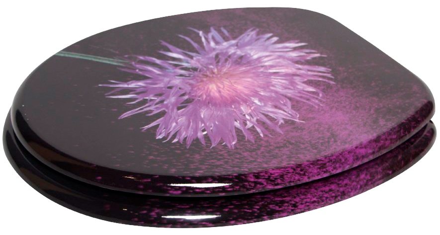 Sanilo WC-Sitz »Purple Dust«, mit Absenkautomatik