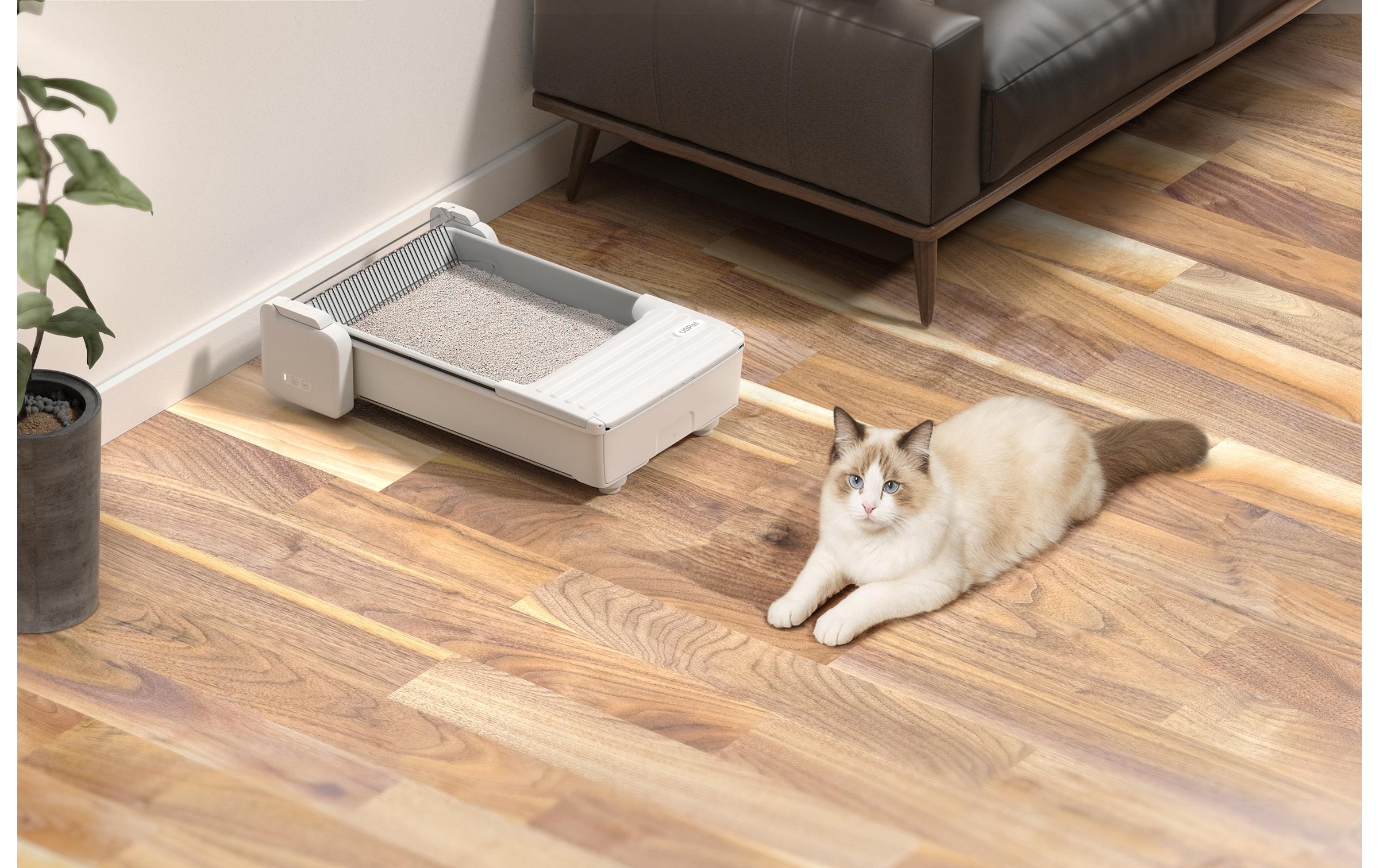   Toilettes pour chats »UBPet Katzentoilette C30«