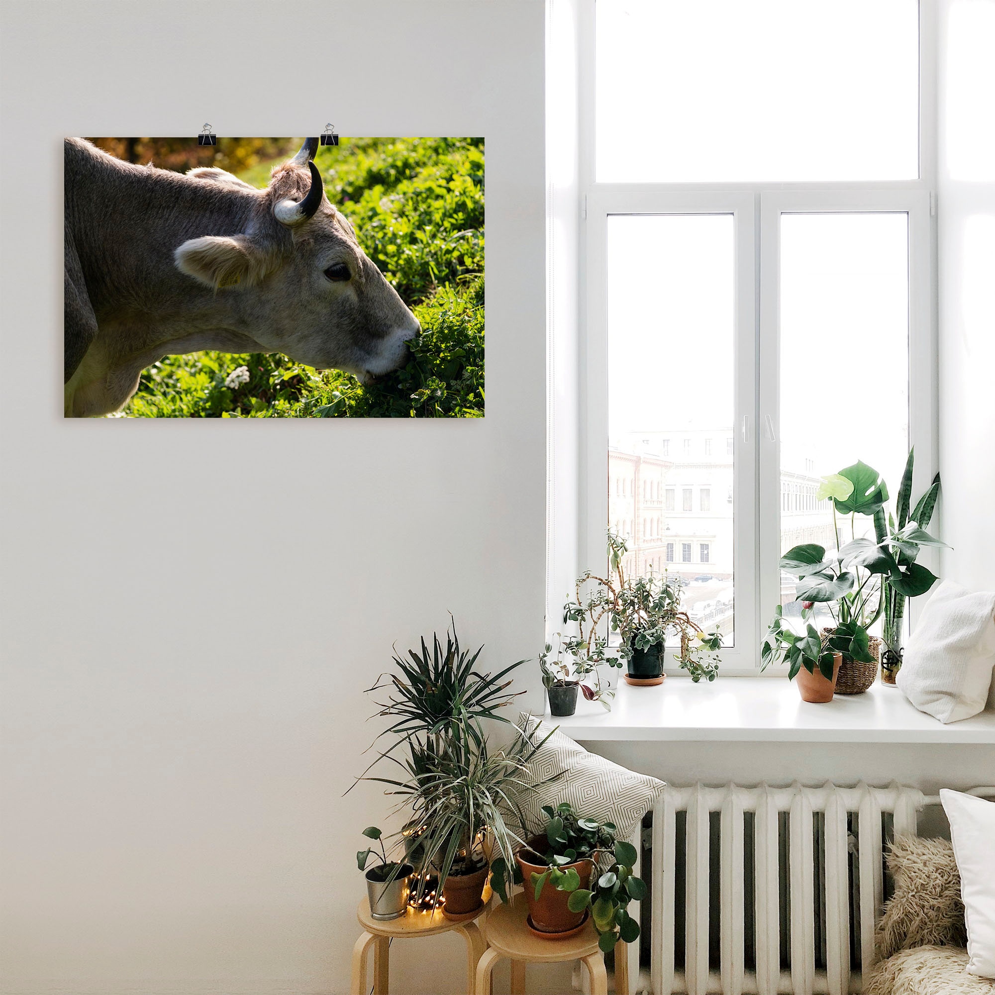Artland Wandbild »Eine glückliche Südtiroler Kuh«, Kuhbilder, (1 St.), als  Alubild, Leinwandbild, Wandaufkleber oder Poster in versch. Grössen bequem  kaufen