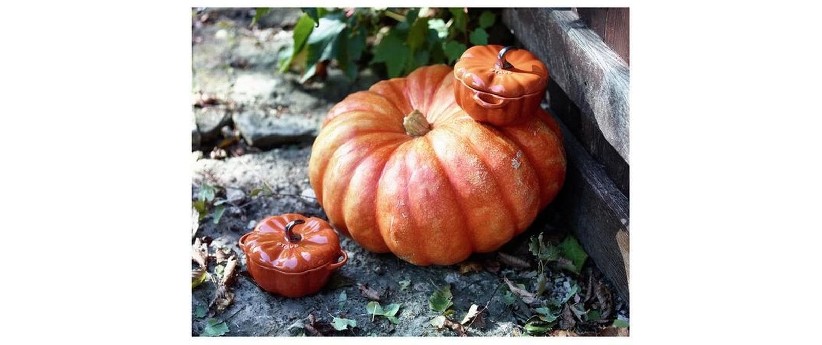 STAUB Bräter »Cocotte Kürbis 12 cm, 0.5 l« Gusseisen