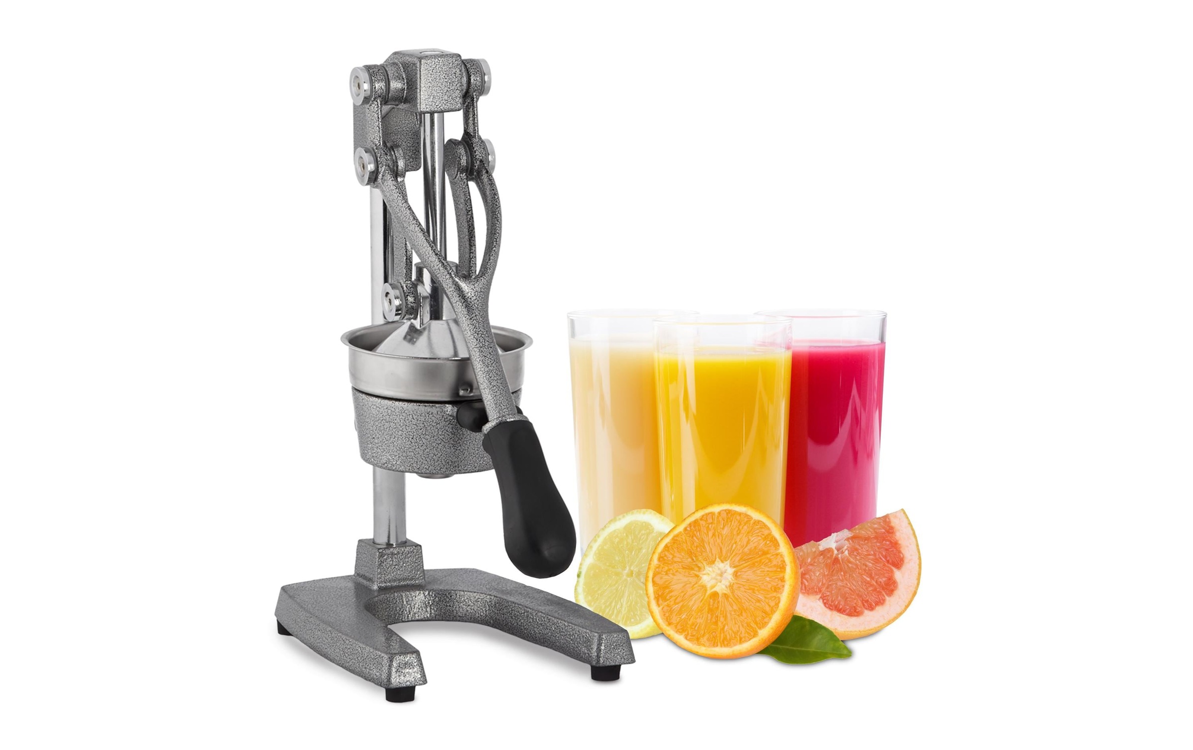 relaxdays Presse-fruits compatible lave-vaisselle