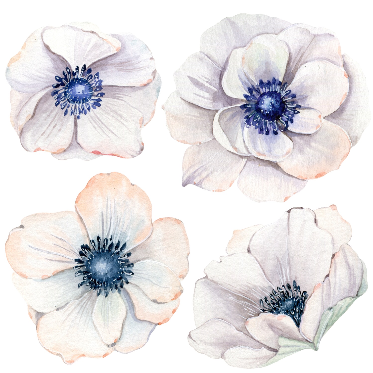 Image of queence Wandtattoo "Mareike" Wandbild, Sticker, Blume, Blüte, selbstklebend
