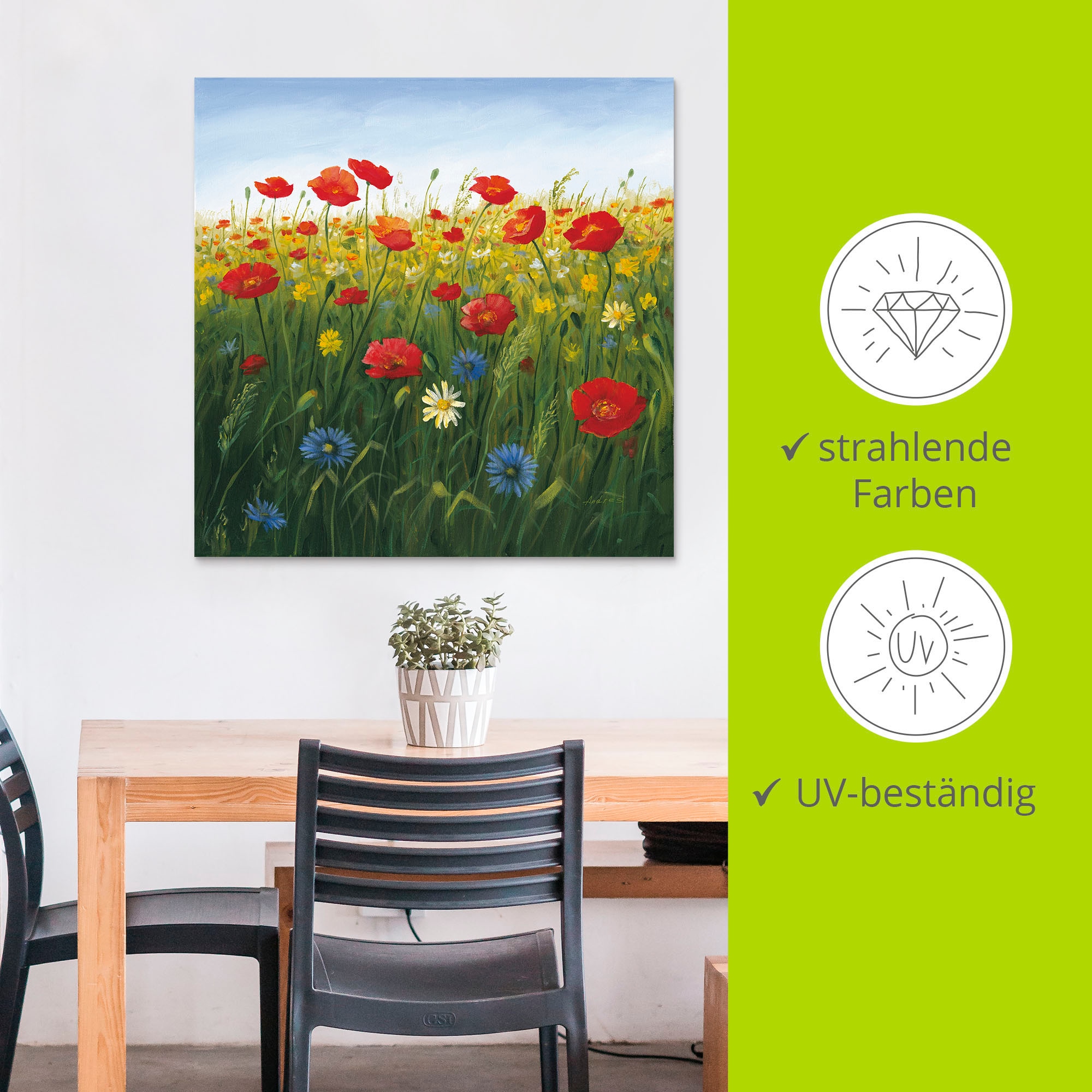 Artland Wandbild »Mohnblumen Landschaft I« Blumenwiese 1 Stk. tlg. als Alubild, Leinwandbild in verschied. Grössen