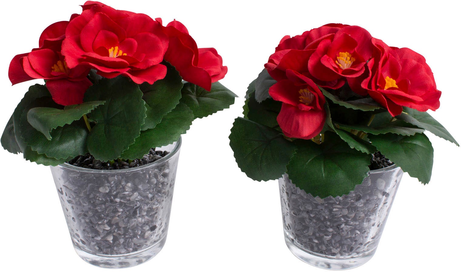 Image of Botanic-Haus Kunstblume »Frühlingsblume«, (Set, 2 St.) bei Ackermann Versand Schweiz