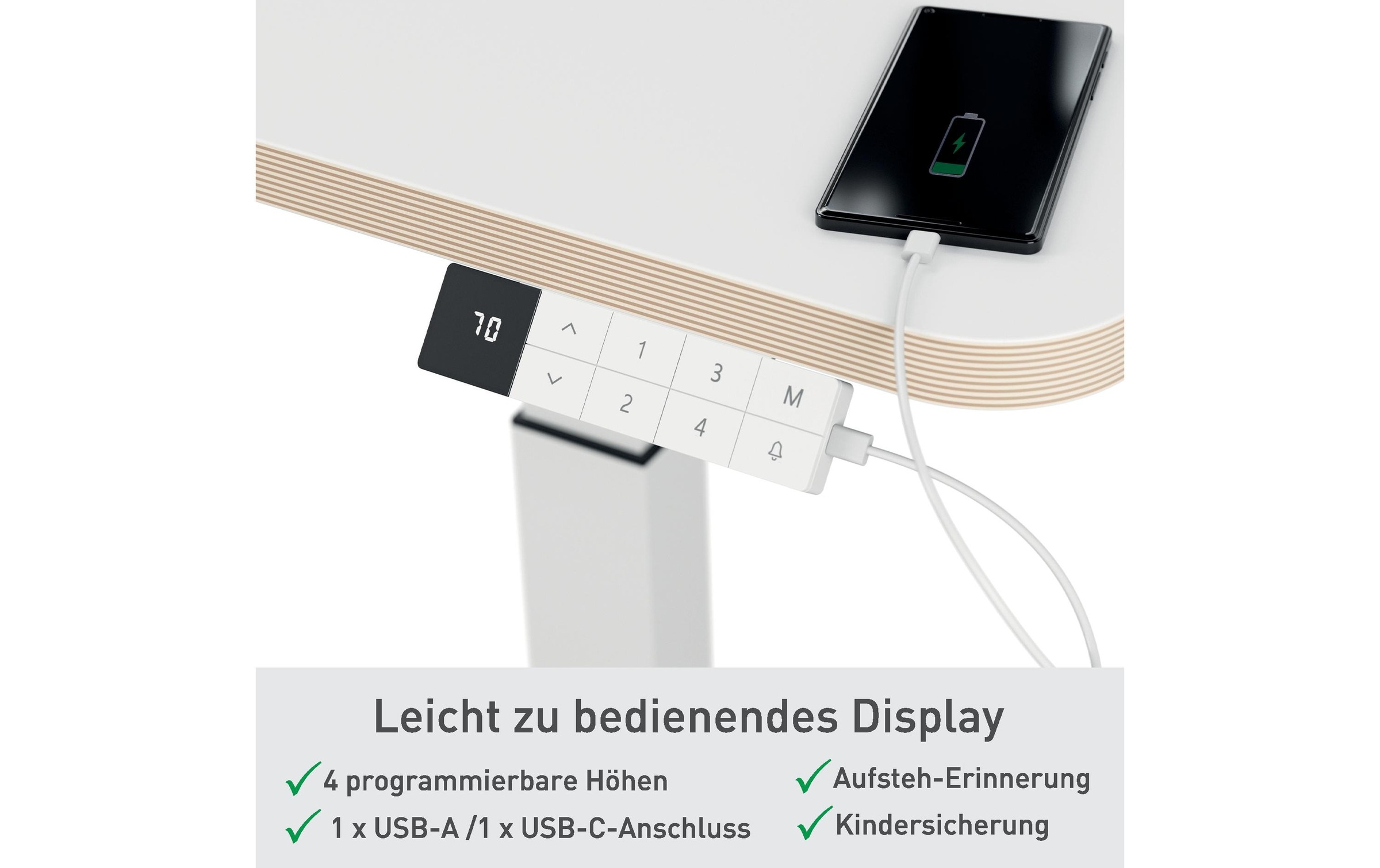 LEITZ Schreibtisch