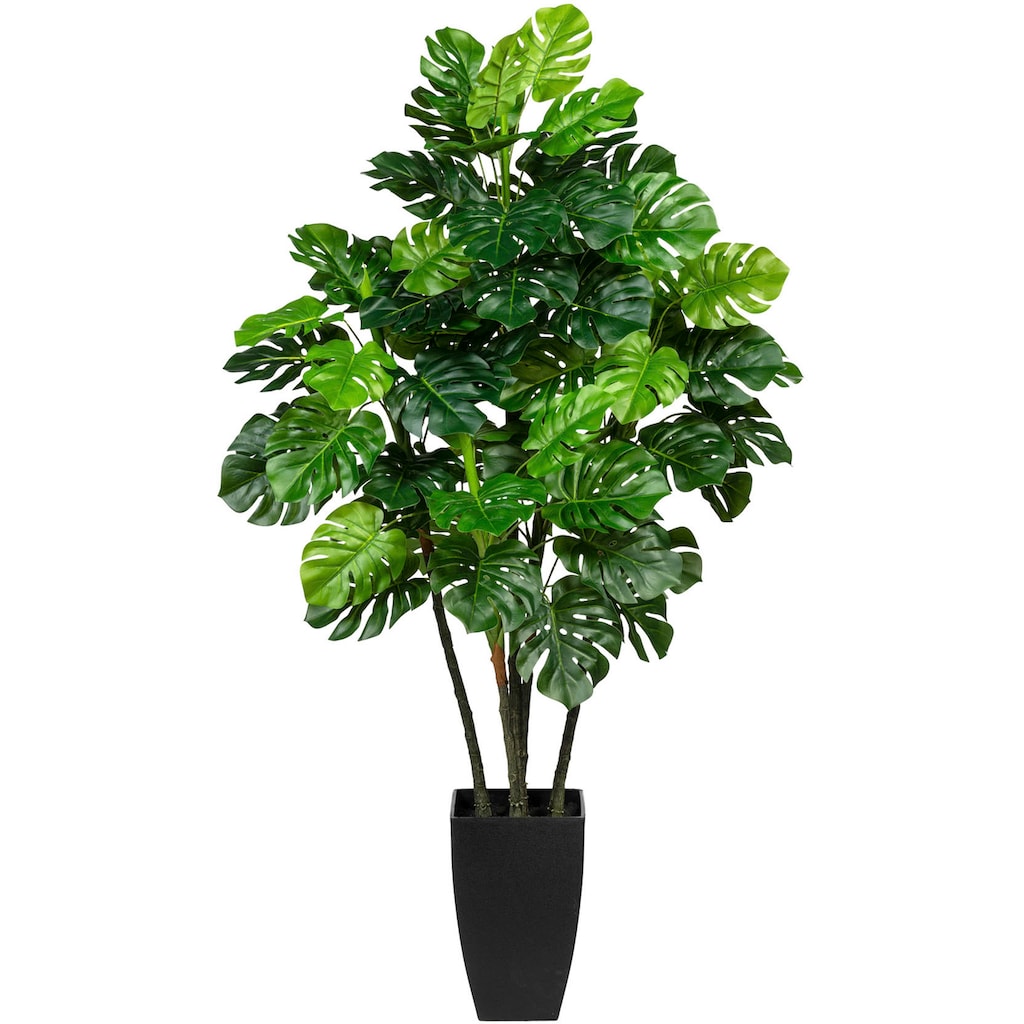 Creativ green Künstliche Zimmerpflanze »Splitphilodendron«