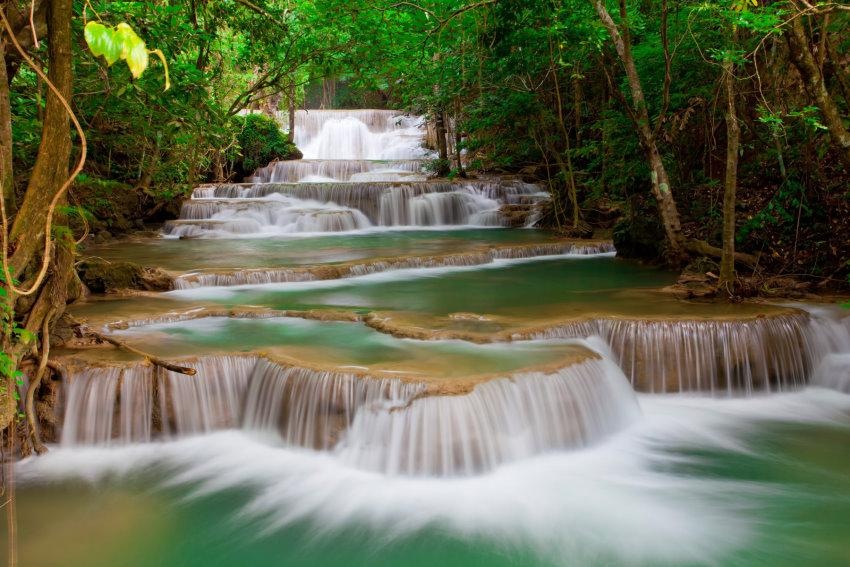 Image of Home affaire Fototapete »Deep Forest Waterfall« bei Ackermann Versand Schweiz