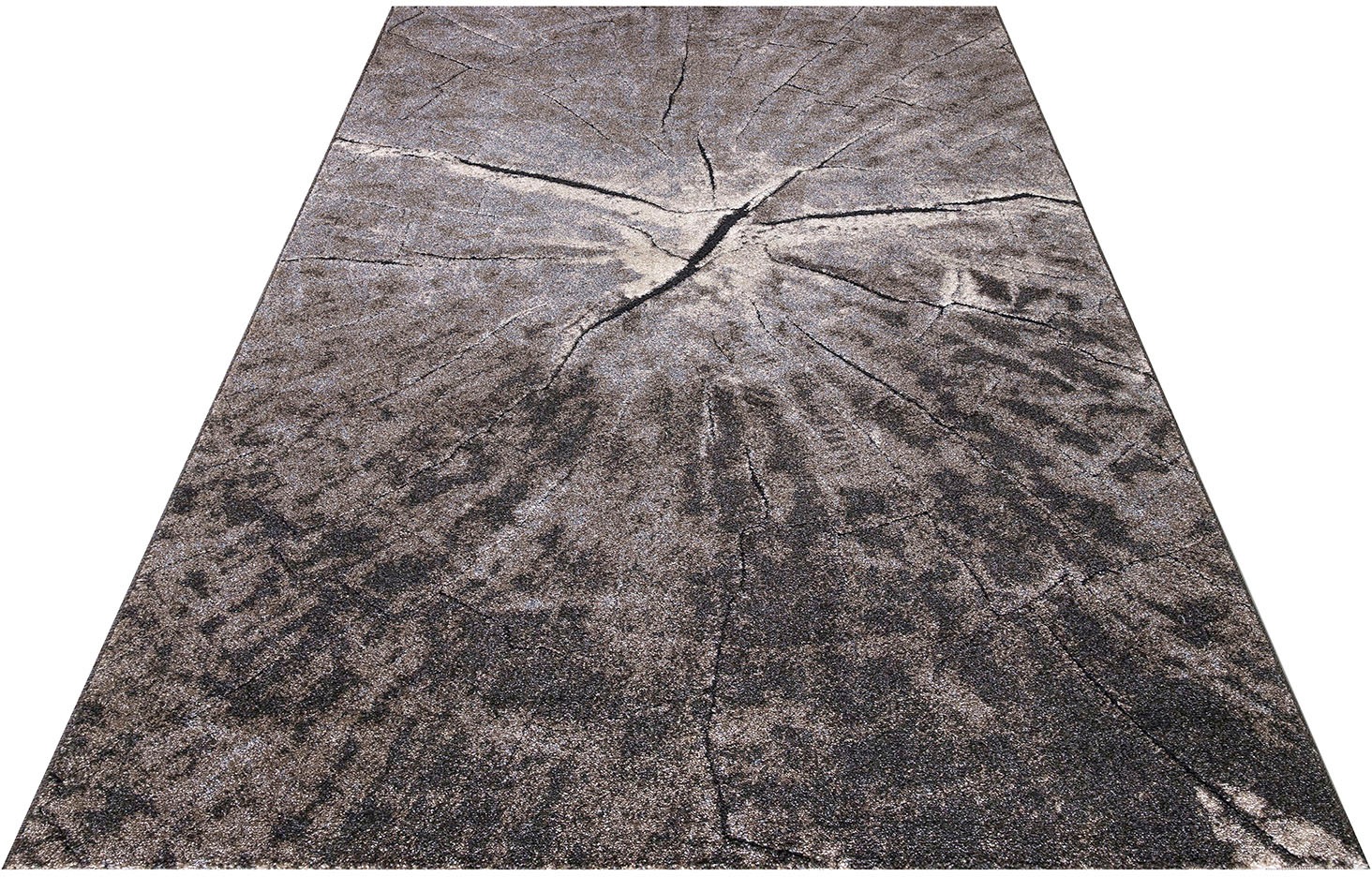 Image of Festival Teppich »Malaga K11546«, rechteckig, 13 mm Höhe, Wohnzimmer bei Ackermann Versand Schweiz