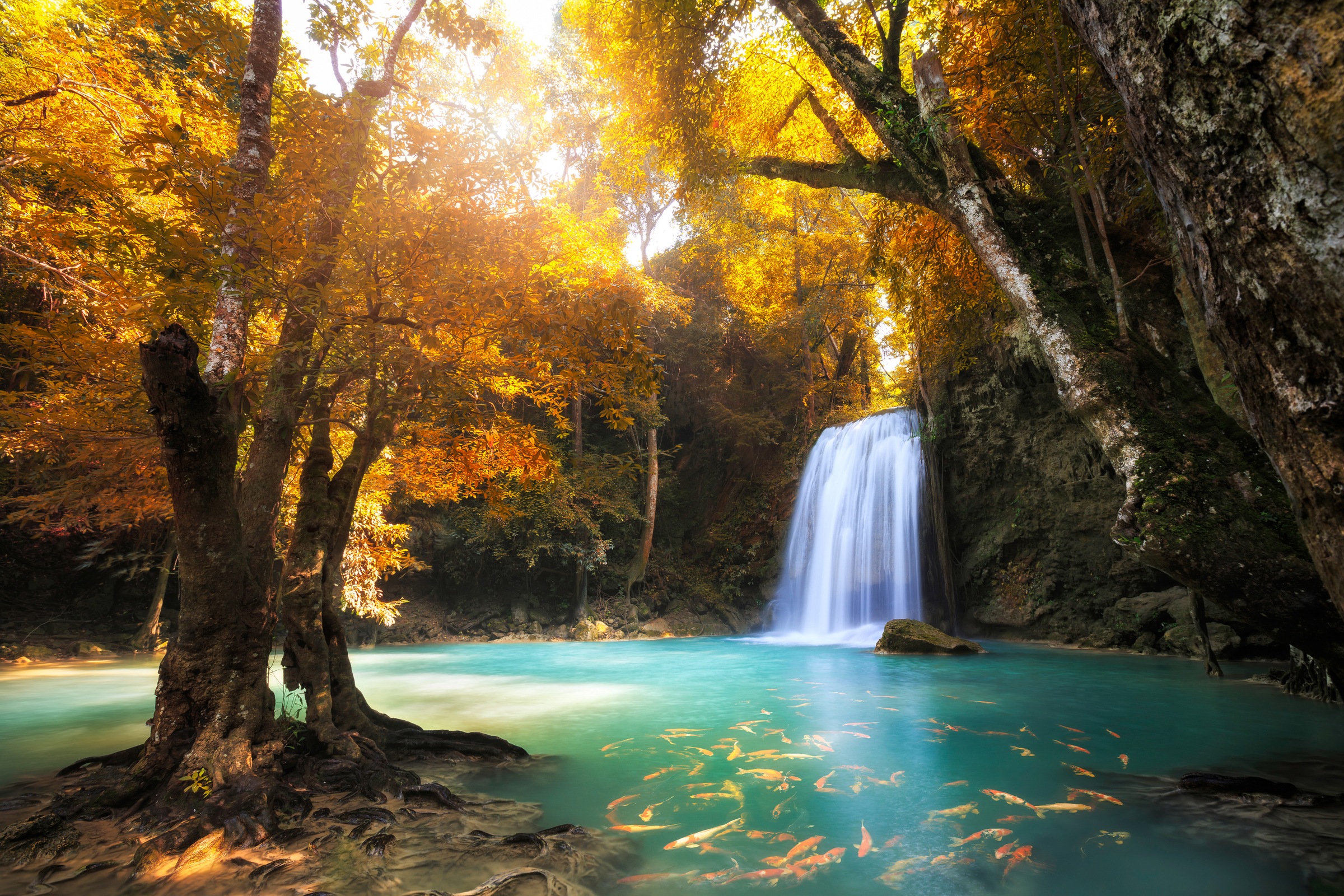Image of Papermoon Fototapete "Waterfall in Kanchanaburi, Thailand" glatt