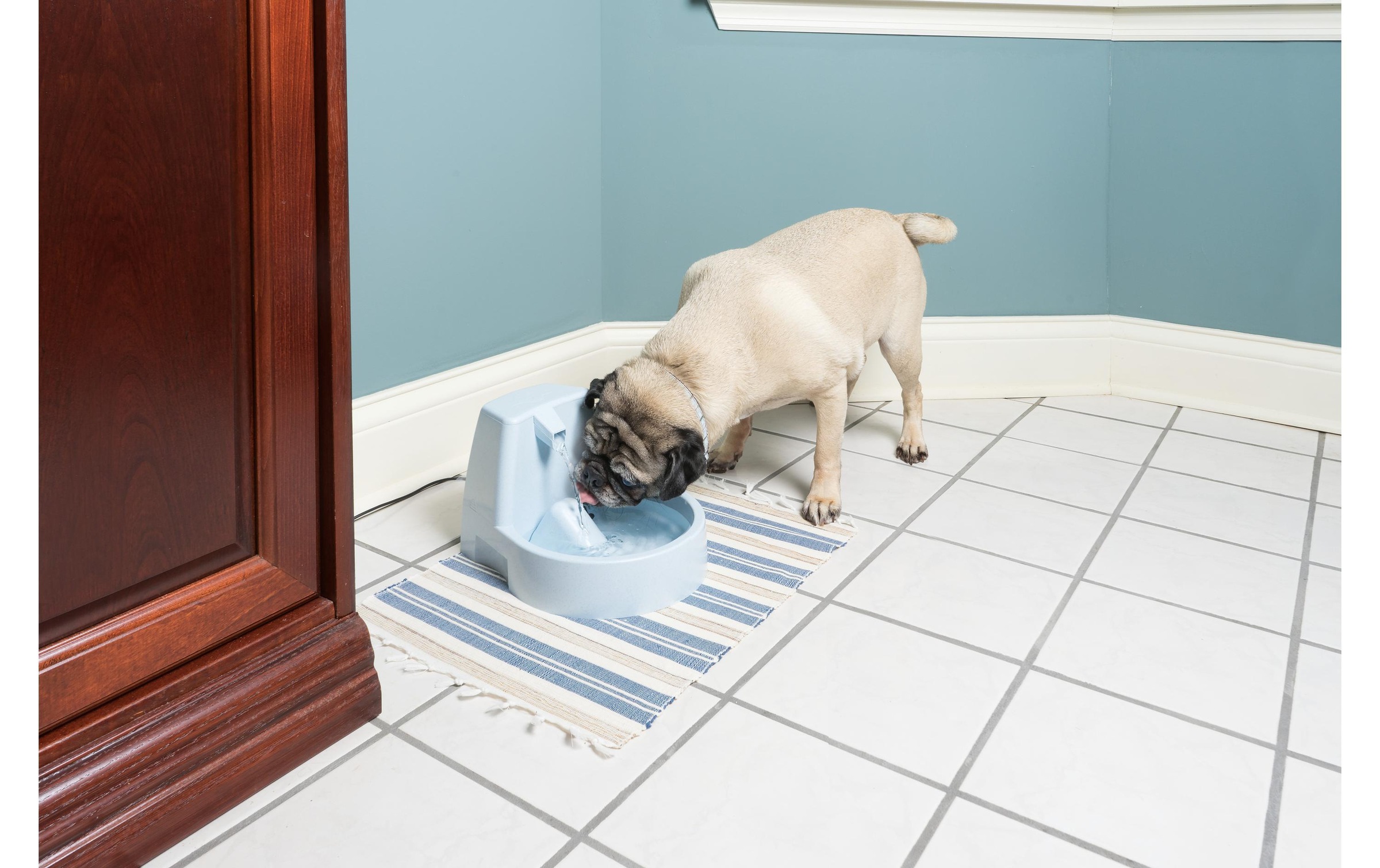 PetSafe Wasserspender »Drinkwell Original«