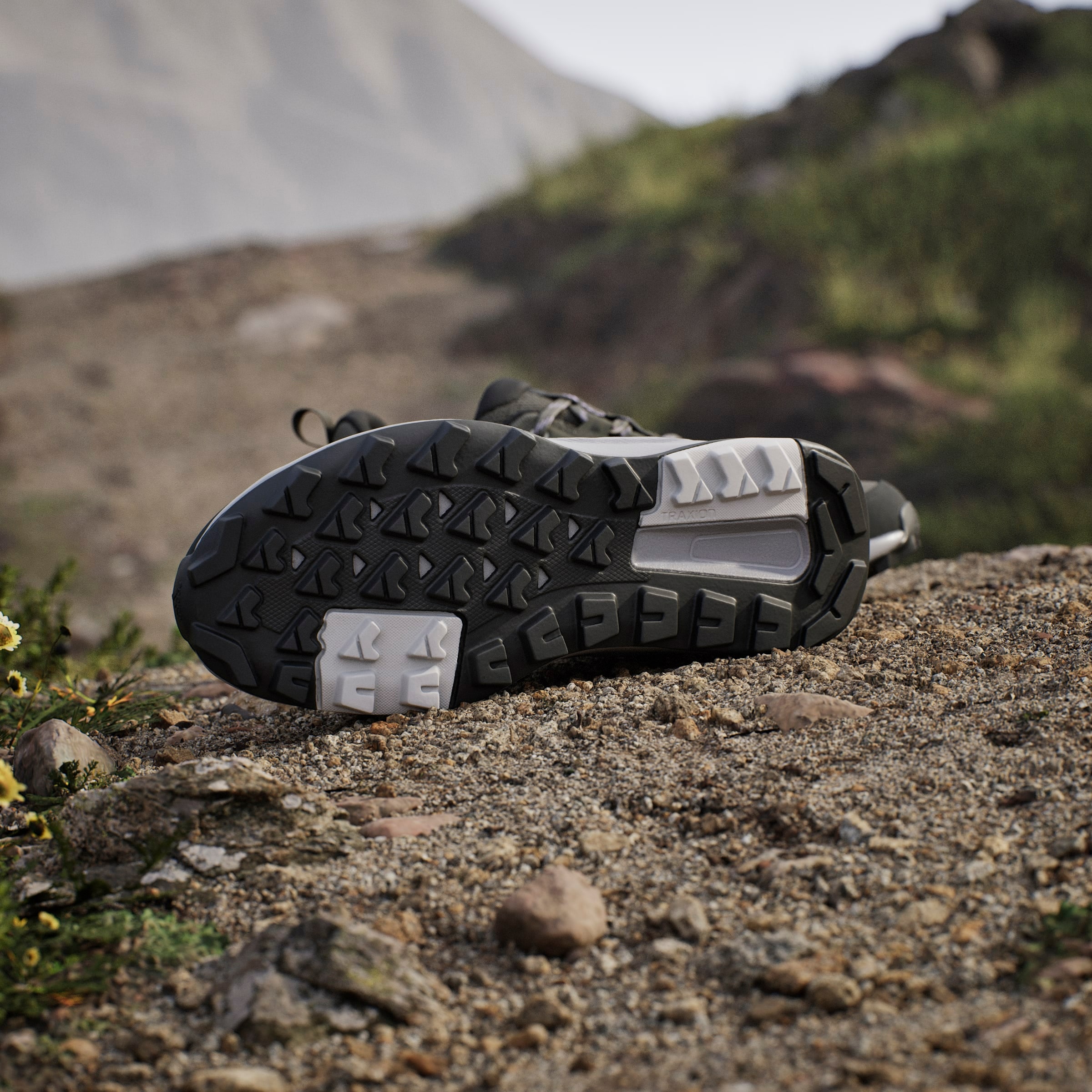 adidas TERREX Chaussure de randonnée »TERREX ANYLANDER«