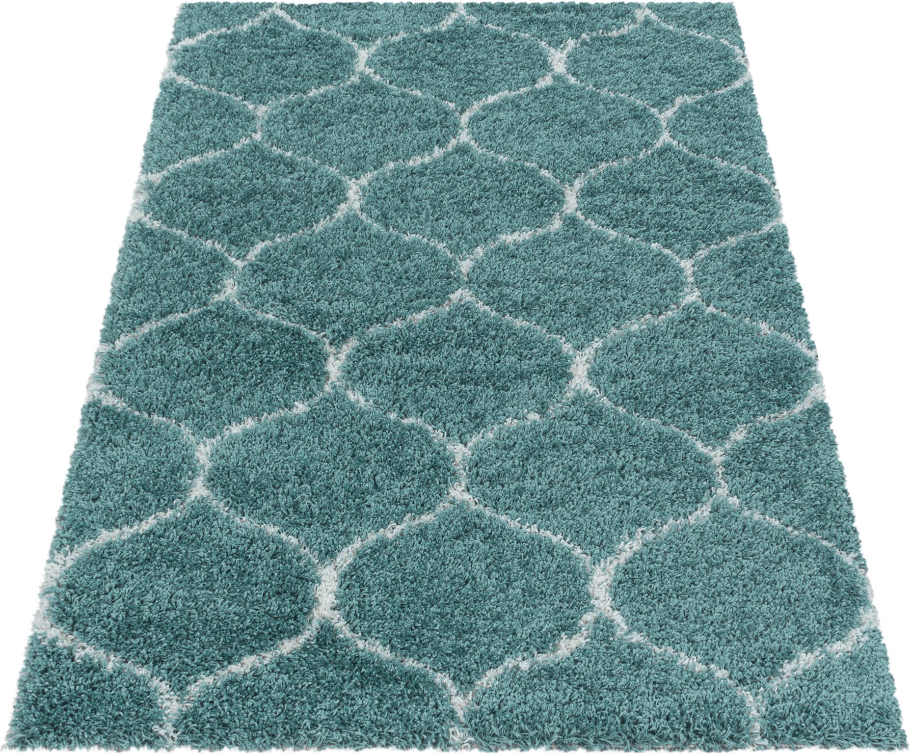 Ayyildiz Teppiche Hochflor-Teppich »SALSA 3201«, rechteckig, 50 mm Höhe, auch in rund, Pflegeleicht / Strapazierfähig / Shaggy/ Wohnzimmer