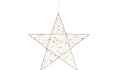 Creativ light LED Stern »Weihnachtsstern, Weihnachtsdeko«, aus Draht, mit  15 LED's, Ø 30 cm mit Timerfunktion, im 2er-Set im %SALE!