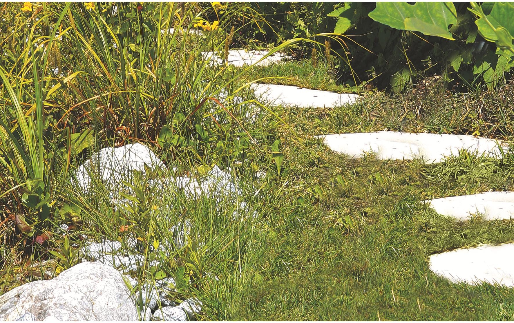 Einhell Akku-Gras- und Strauchscherenset »Grasschneidmesser GC-CG 3,6 Li«